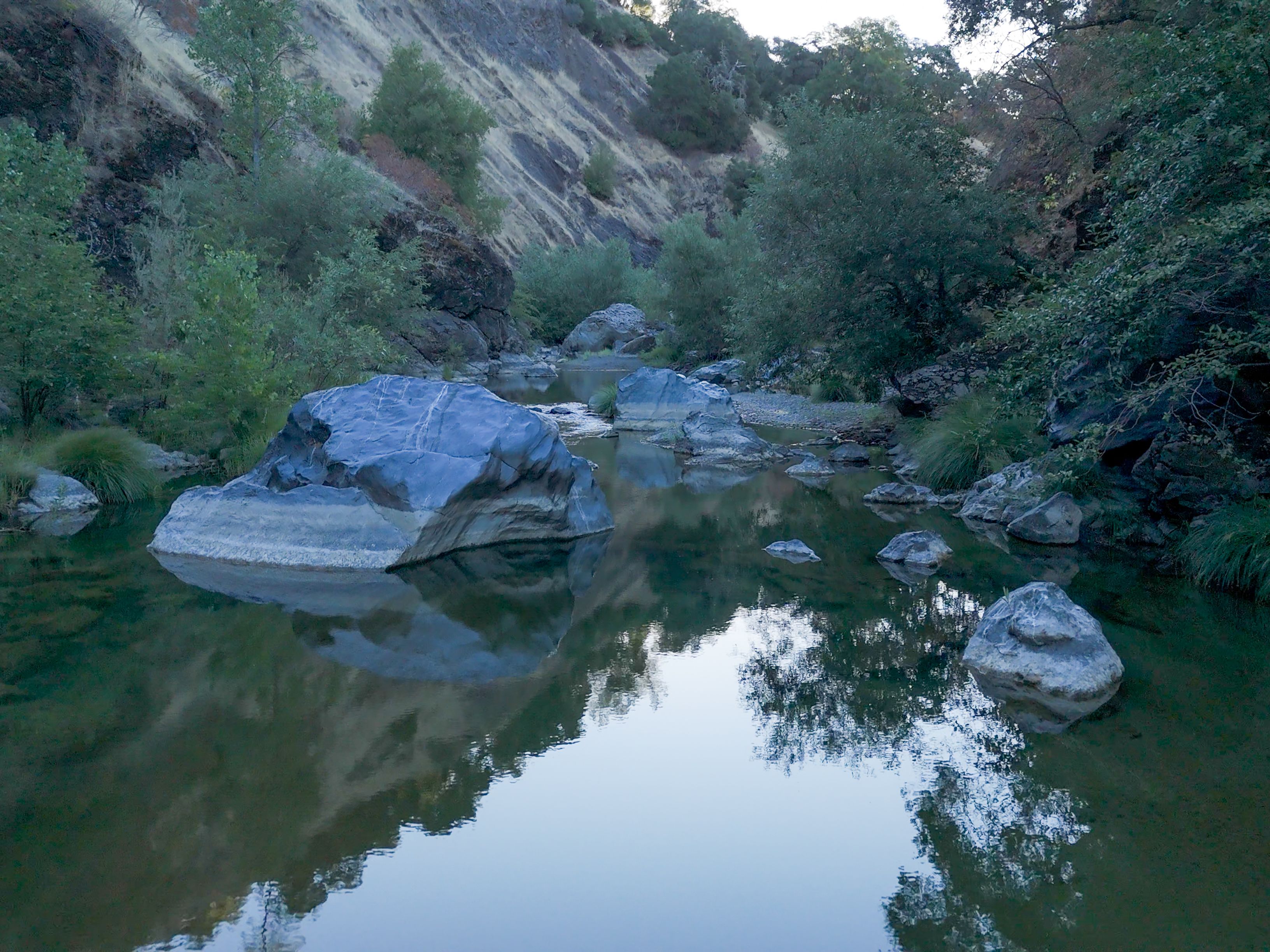  Very Rare Opportunity Alexander Valley Ranch - 物件實景