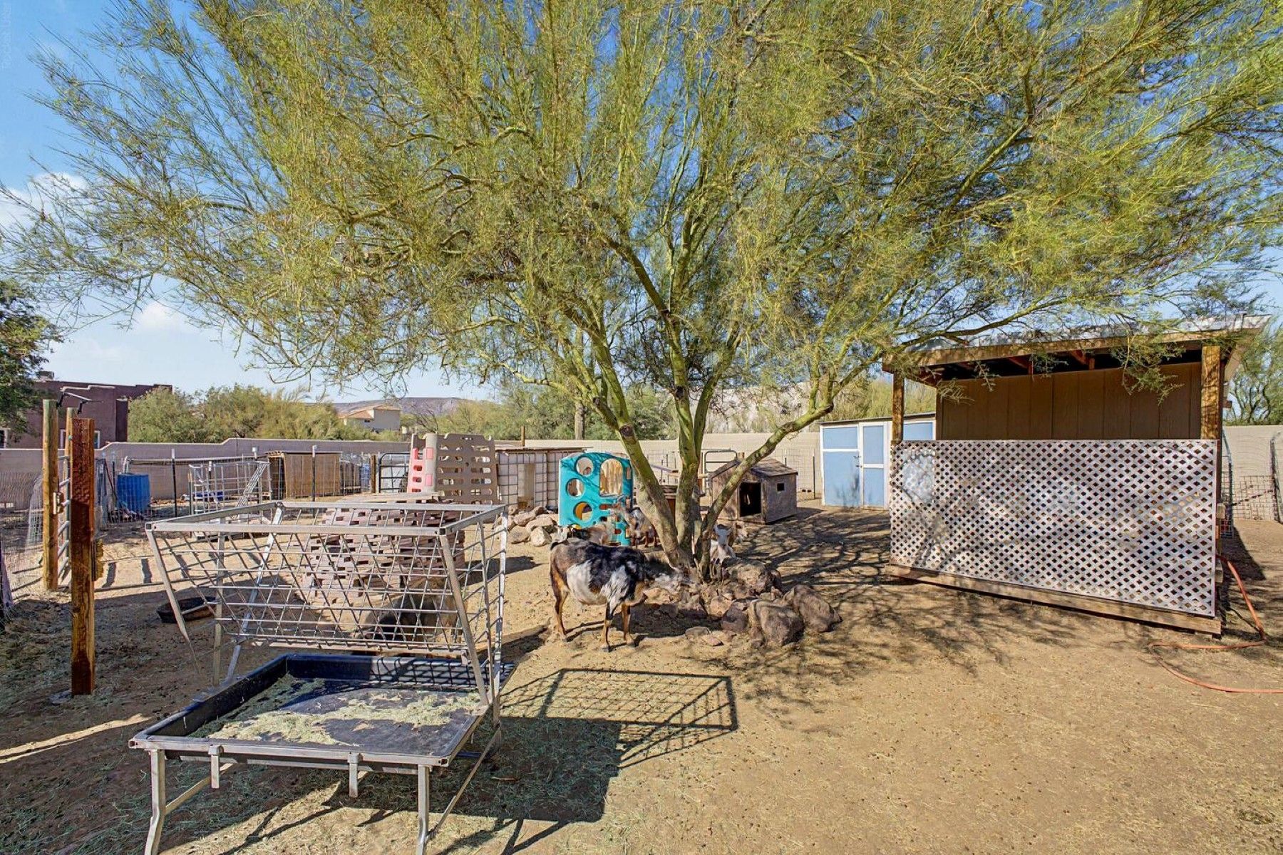  1120 E Circle Mountain Road  New River, AZ - 物件實景