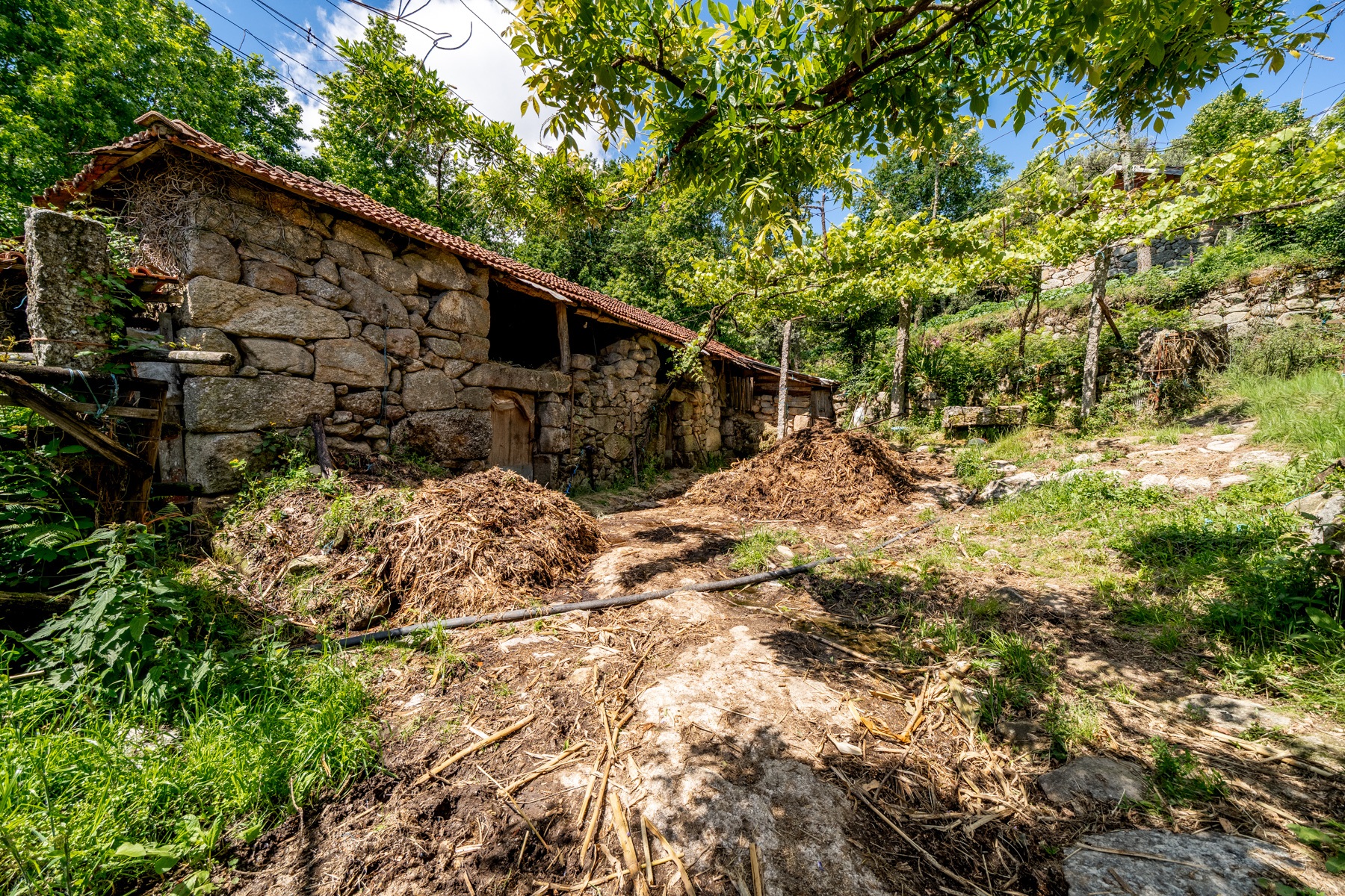  Farm for Sale - 物件實景