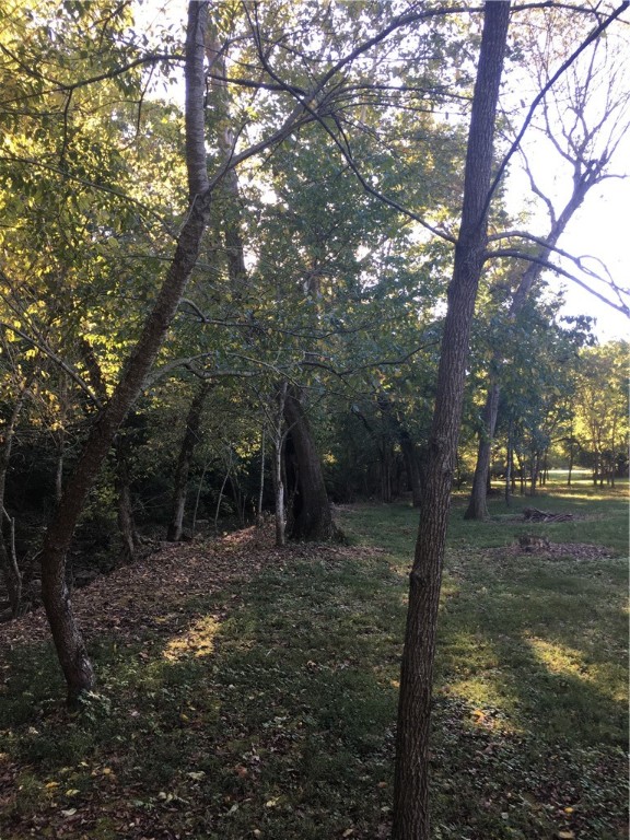 821 Puppy Creek Road, Lowell, Arkansas, 72745, United States, ,Land,For Sale,821 Puppy Creek Road,1673230