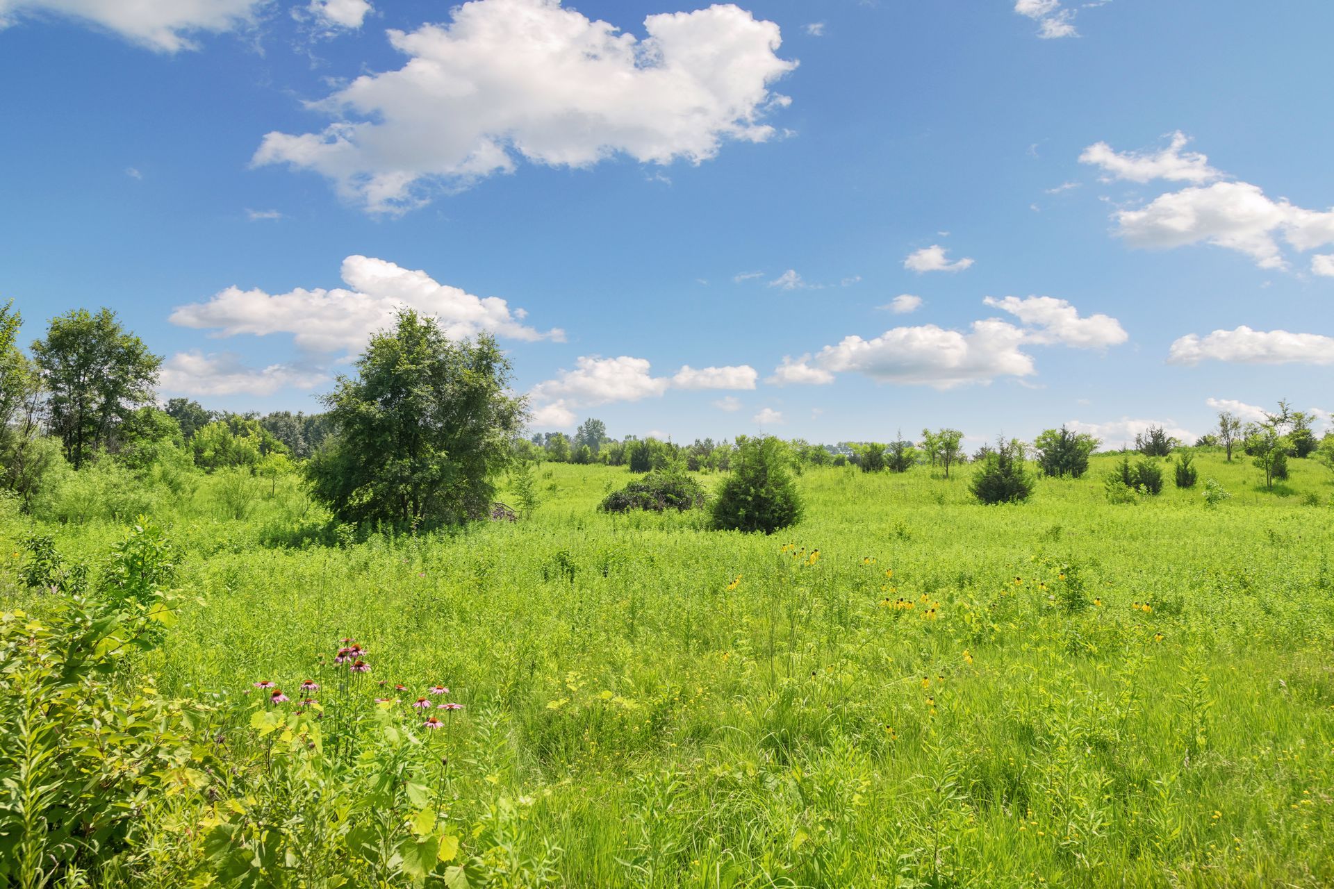  Private Prior Lake Farmstead and Nature Retreat - 物件實景