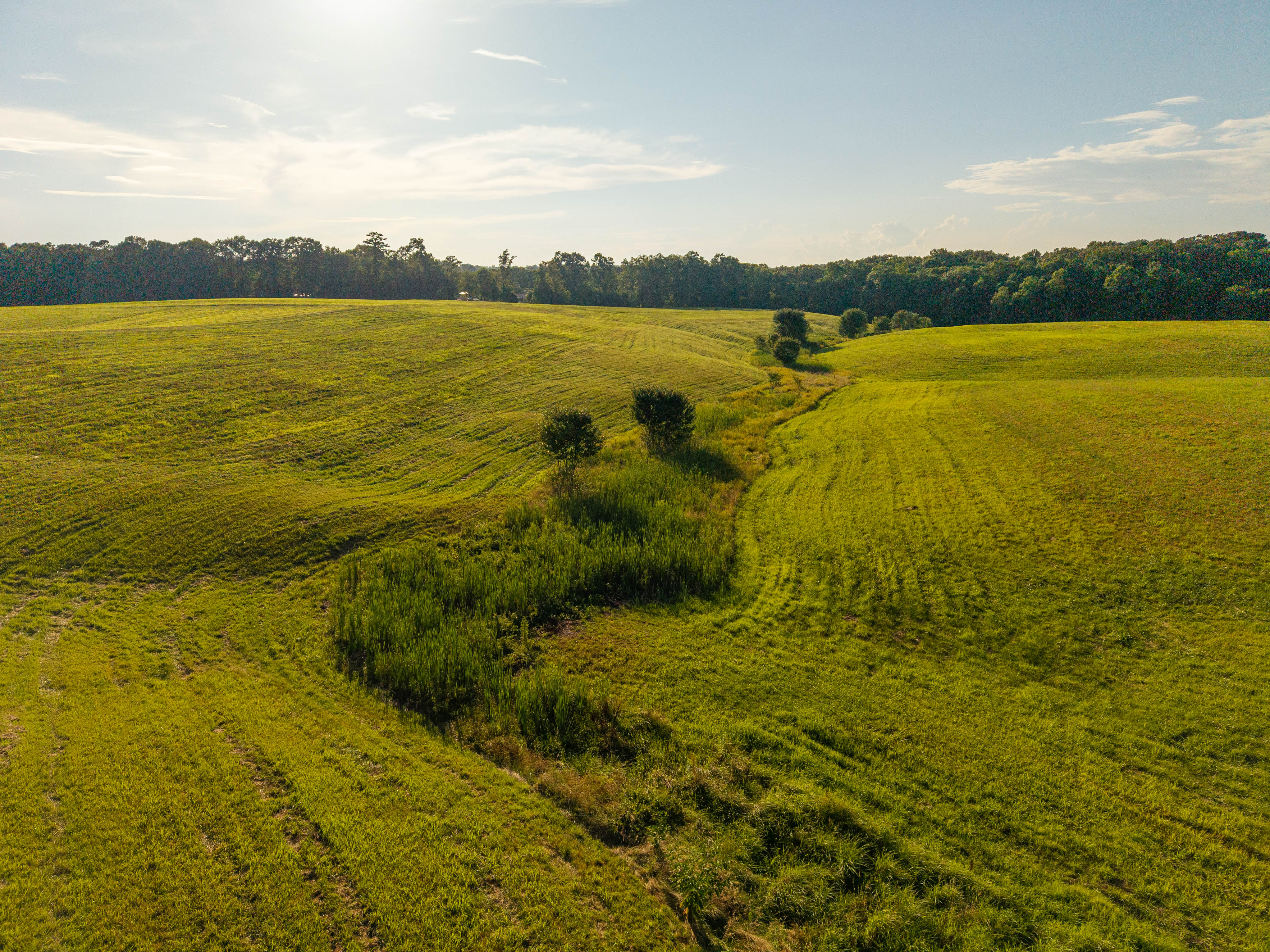 Corbin, Kentucky, 40701, United States, ,Residential,For Sale,1904365