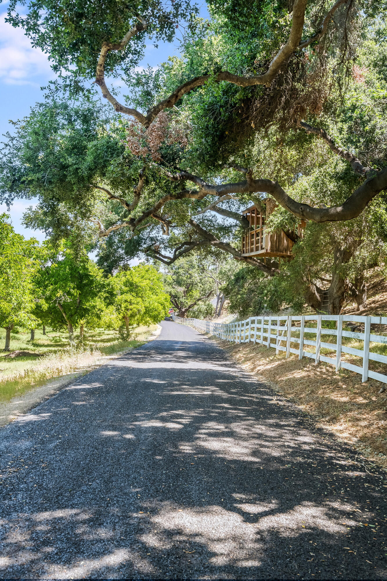 Santa Ynez, California, 93460, United States, 3 Bedrooms Bedrooms, ,6 BathroomsBathrooms,Residential,For Sale,1709883