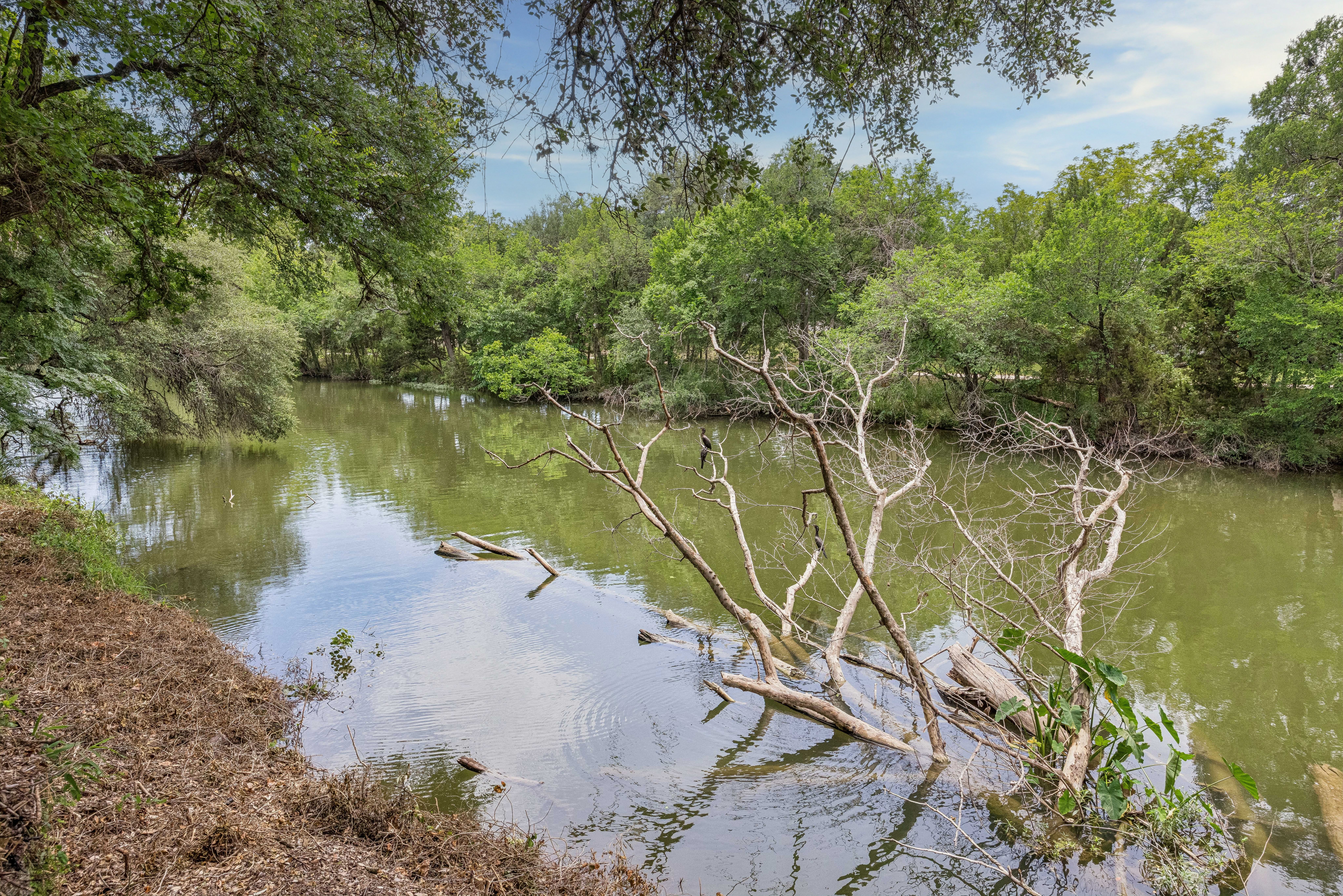 Your Private Retreat on Brushy Creek - 物件實景