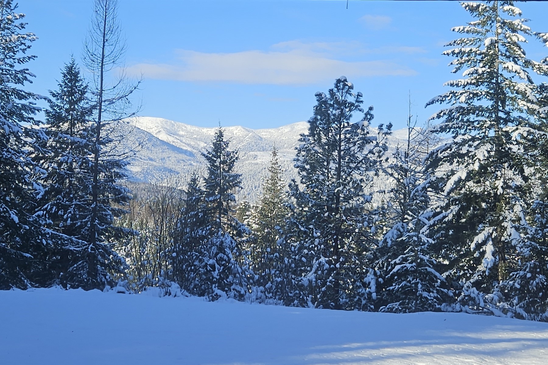  1861 Samuels Rd Sandpoint - 物件實景