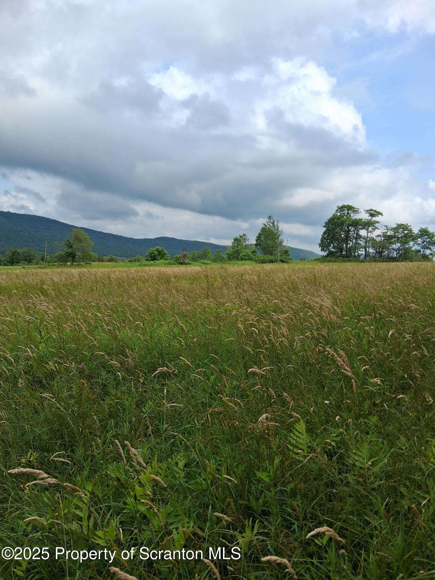 Union Dale, Pennsylvania, 18470, United States, ,Land,For Sale,1975755