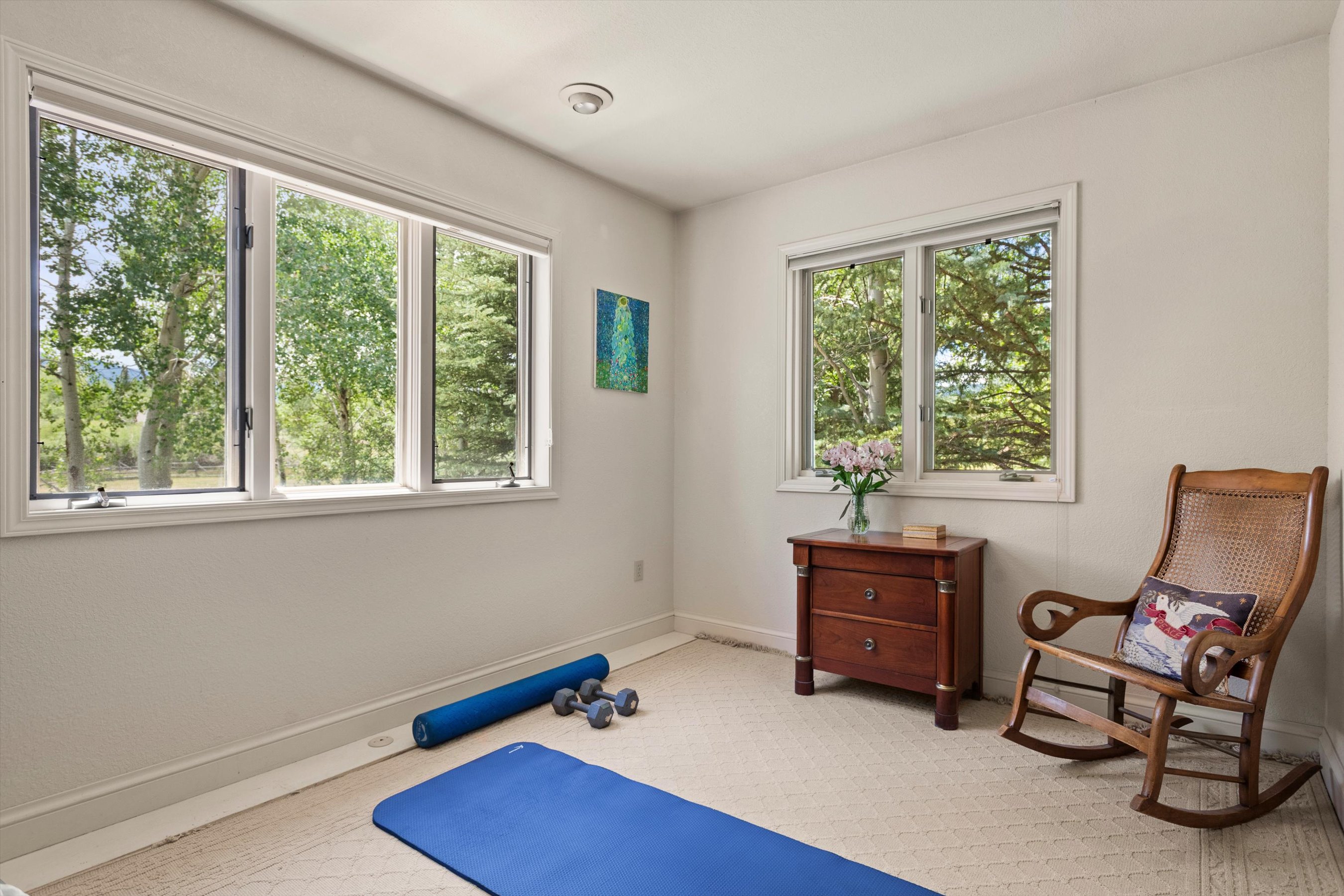  47 Davidson Lane, Snowmass, CO, 81654 - 物件實景