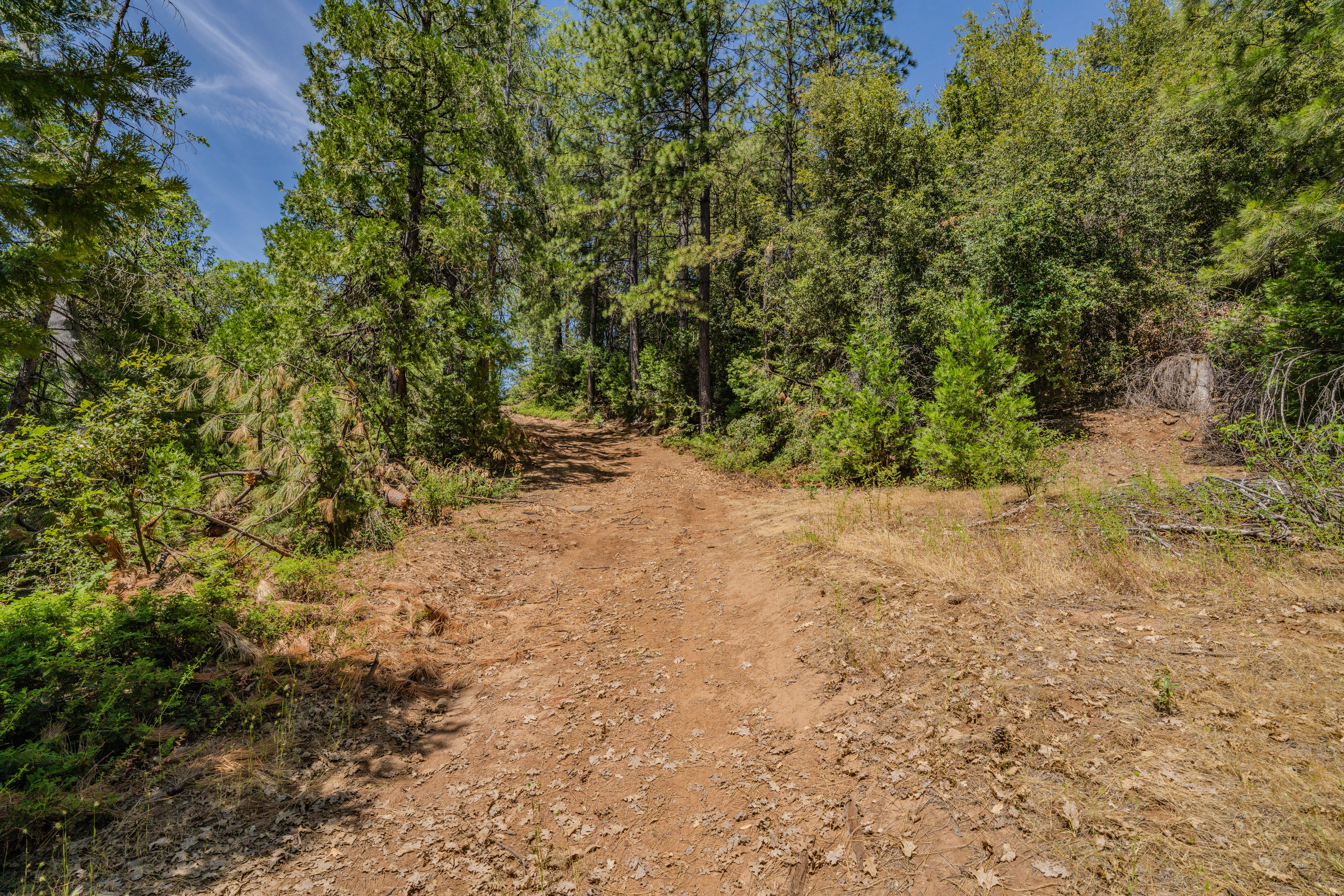  24100 Canterbury Road, Pioneer, CA 95666 - 物件實景
