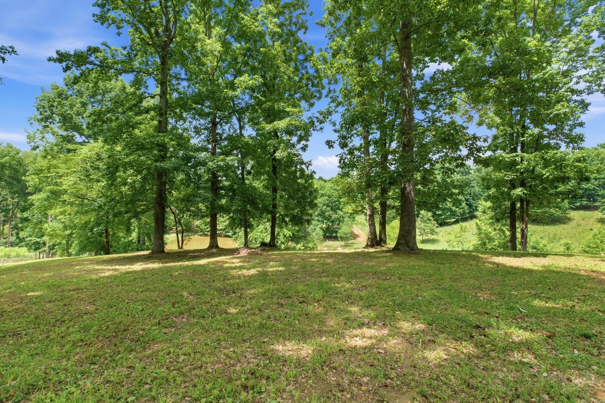  925 Sumac Rd, Pulaski, TN, 38478 - 物件實景