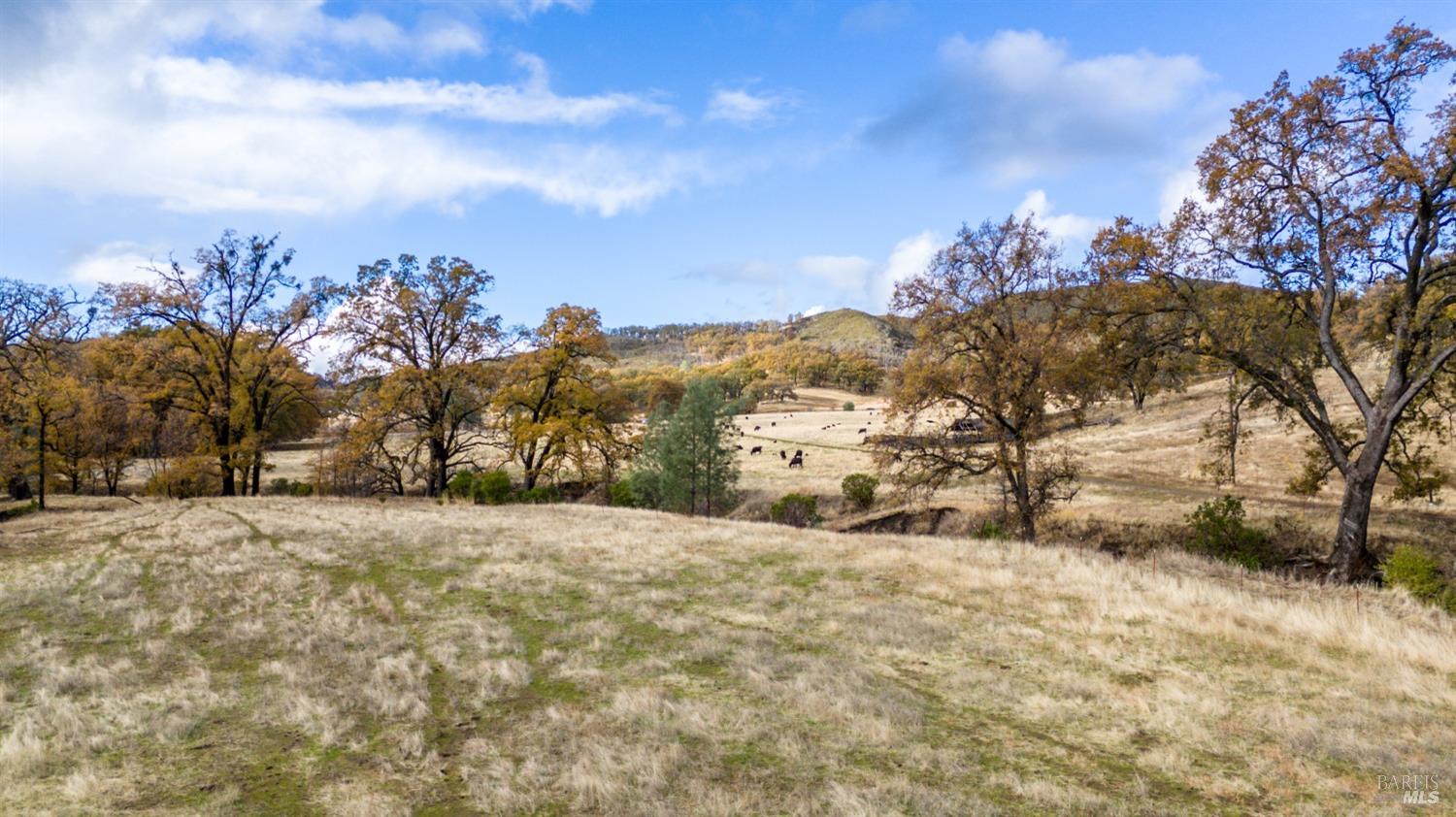 Lower Lake, California, 95457, United States, ,Land,For Sale,1976716