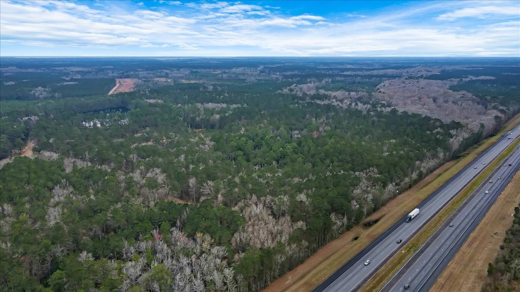 156 AC Us Hwy 17 Hwy, Townsend, Georgia, 31331, United States, ,Land,For Sale,156 AC Us Hwy 17 Hwy,1472997