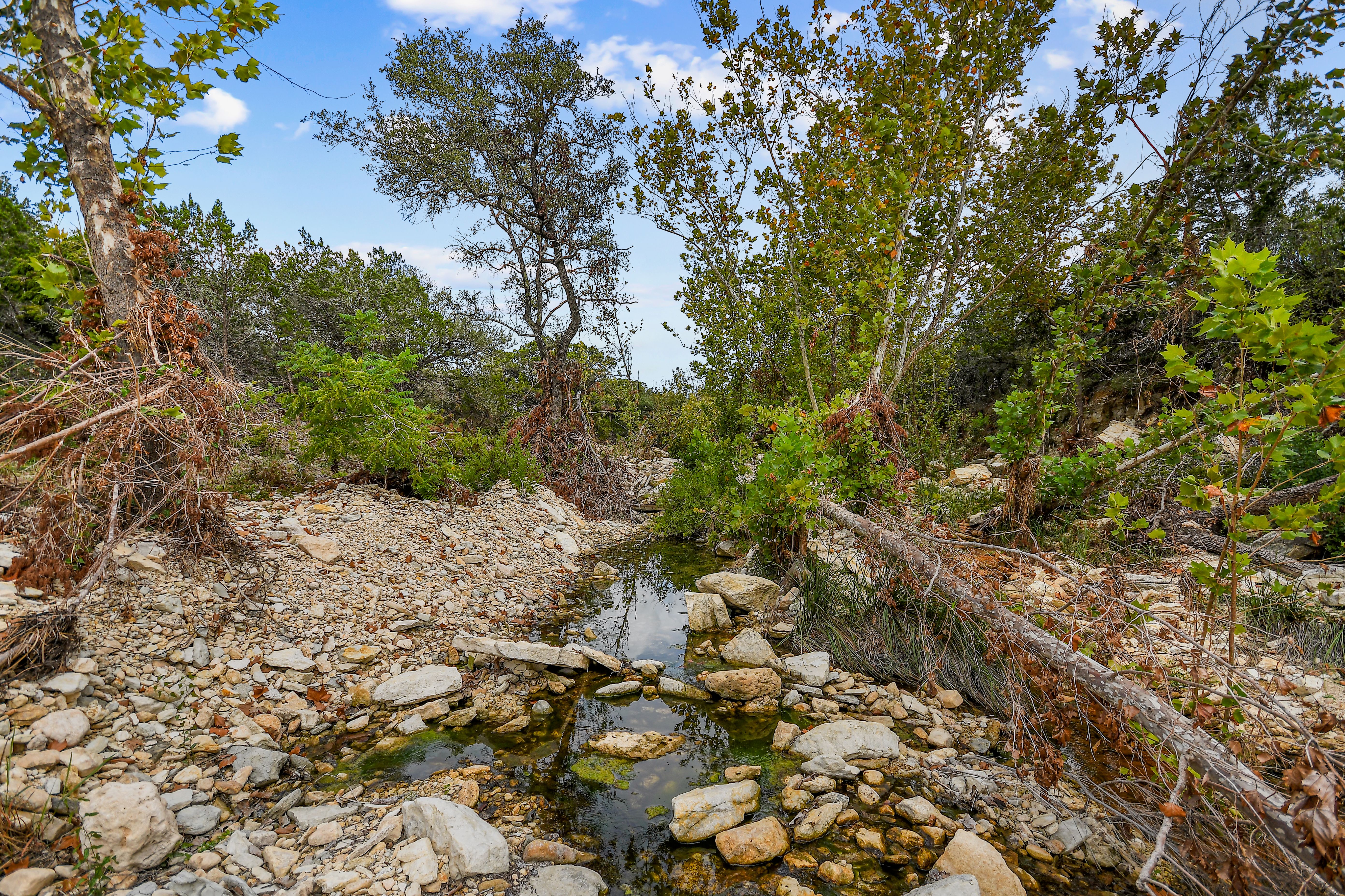  TBD Hwy 46 / Madrona Ranch Road, Pipe Creek, TX 78063 - 物件實景