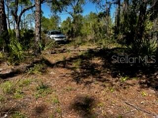 Punta Gorda, Florida, 33982, United States, ,Land,For Sale,1840783