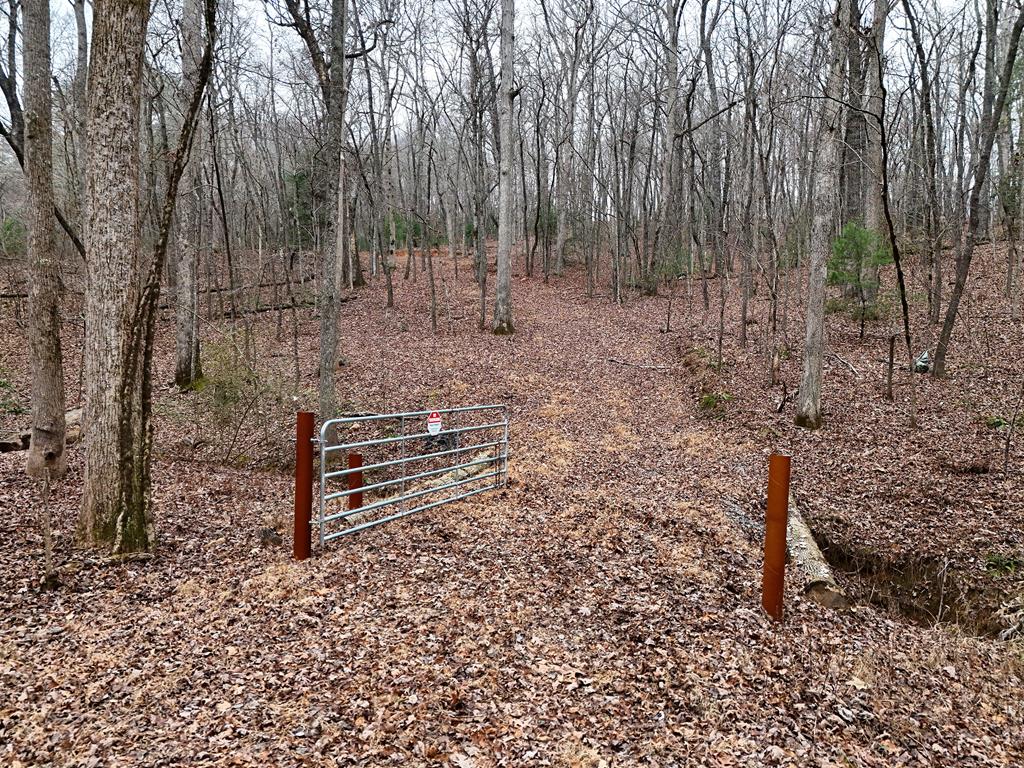 Blue Ridge, Georgia, 30513, United States, ,Land,For Sale,1859049