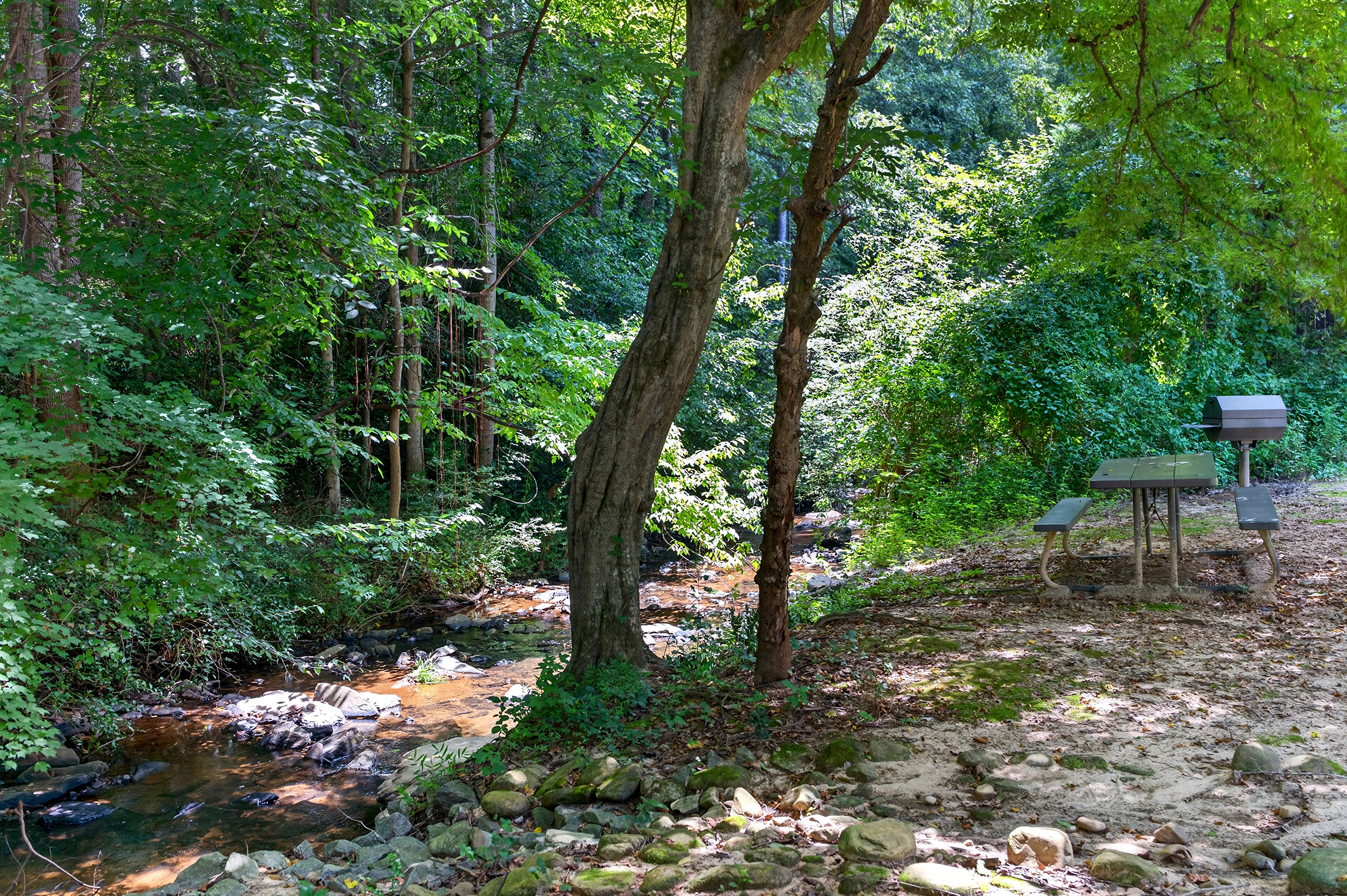  Located in the Gated Essex House Community in Historic Vinings - 物件實景
