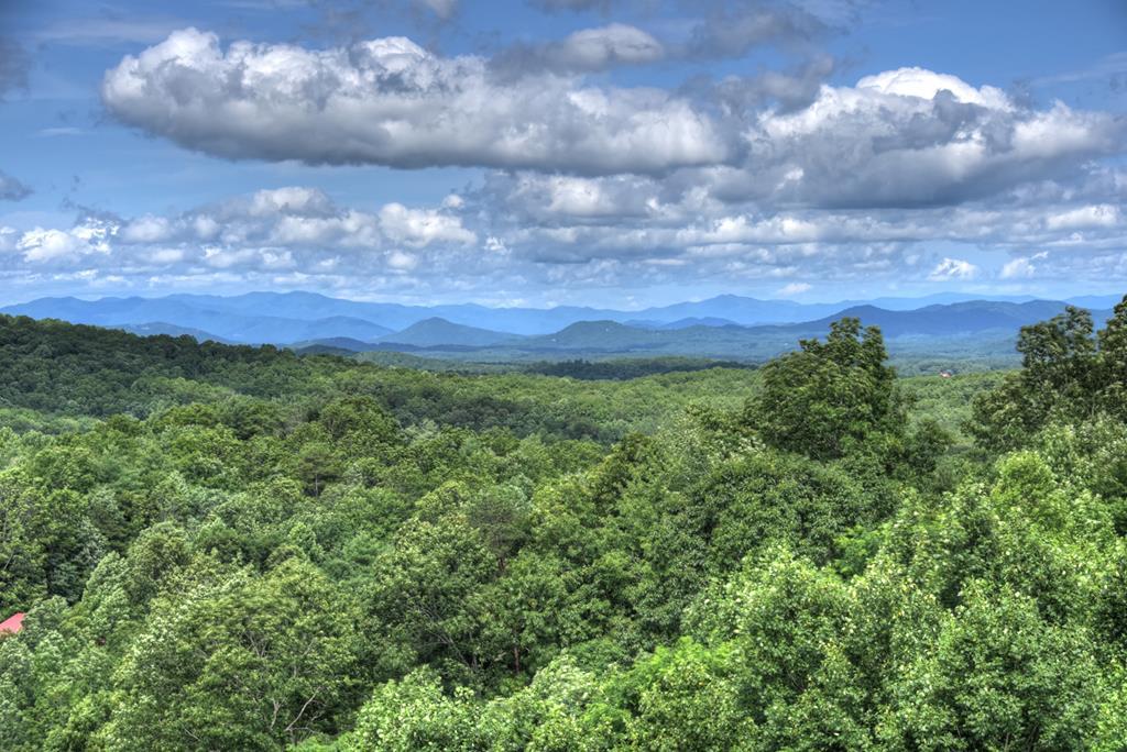 Mineral Bluff, Georgia, 30559, United States, 4 Bedrooms Bedrooms, ,4 BathroomsBathrooms,Residential,For Sale,1871299