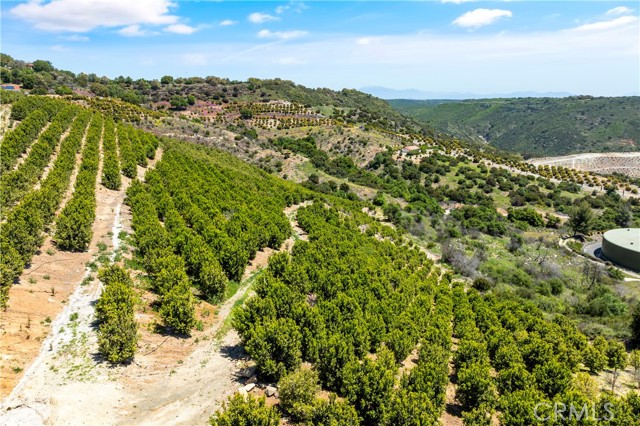Temecula, California, 92590, United States, ,Land,For Sale,1988862