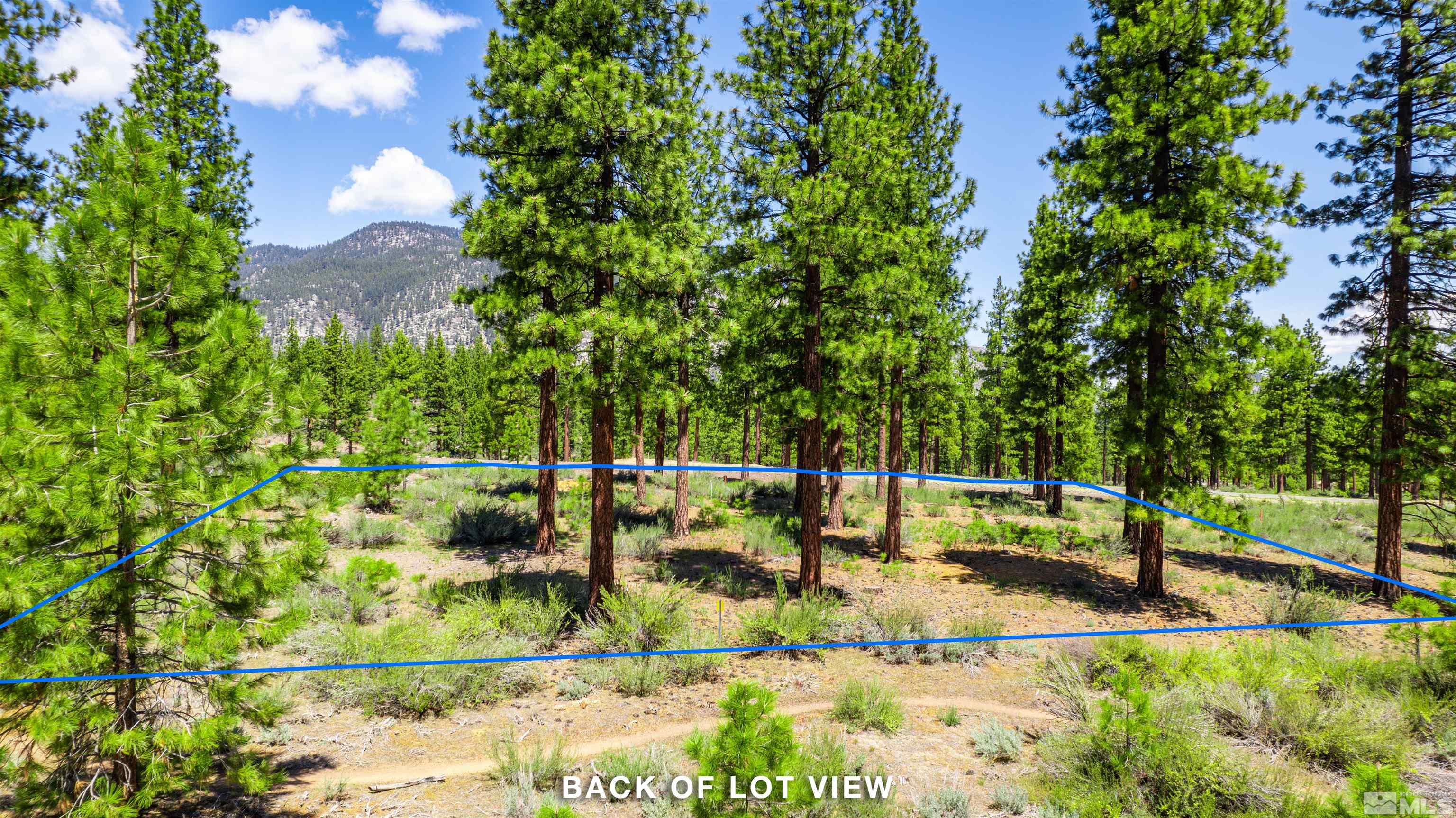 Carson City, Nevada, 89705, United States, ,Land,For Sale,1826407
