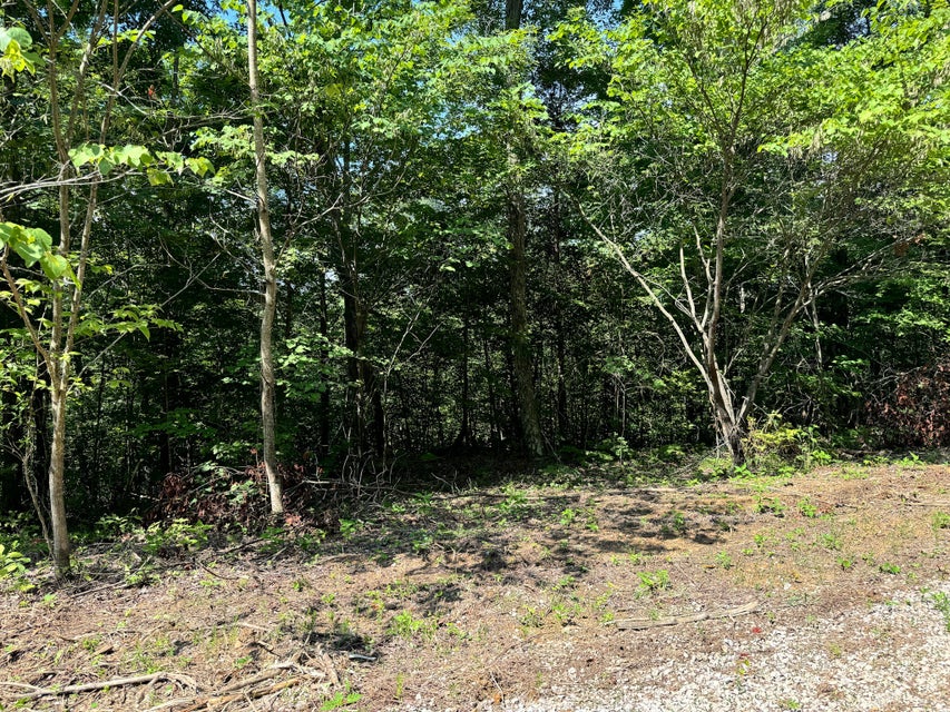 Somerset, Kentucky, 42501, United States, ,Residential,For Sale,1923151