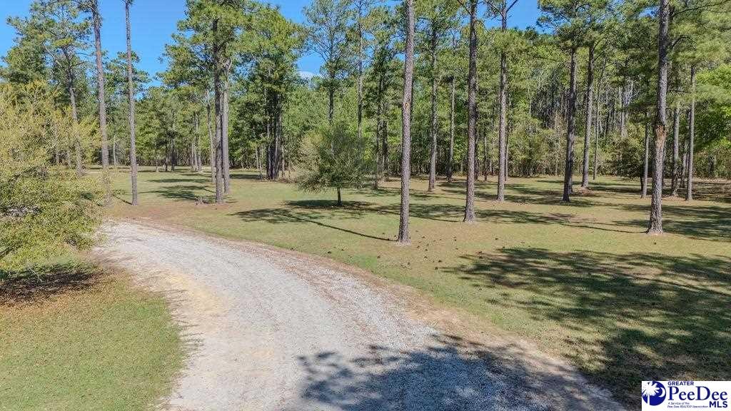 1315 Hill Harrell Road, Effingham, South Carolina, 29541-3179, United States, ,Land,For Sale,1315 Hill Harrell Road,1501598