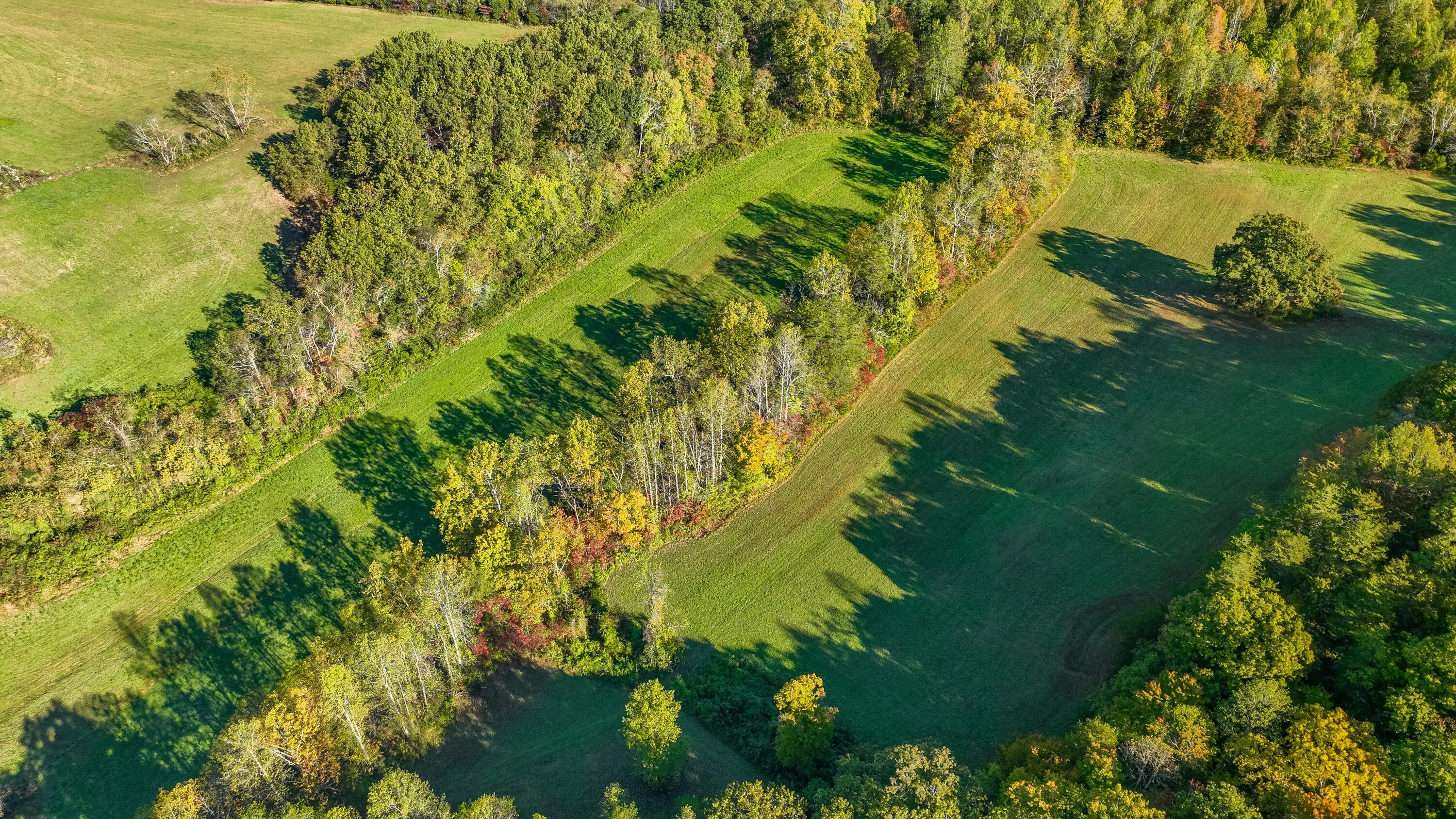 Berea, Kentucky, 40403, United States, 5 Bedrooms Bedrooms, ,3 BathroomsBathrooms,Residential,For Sale,1975265