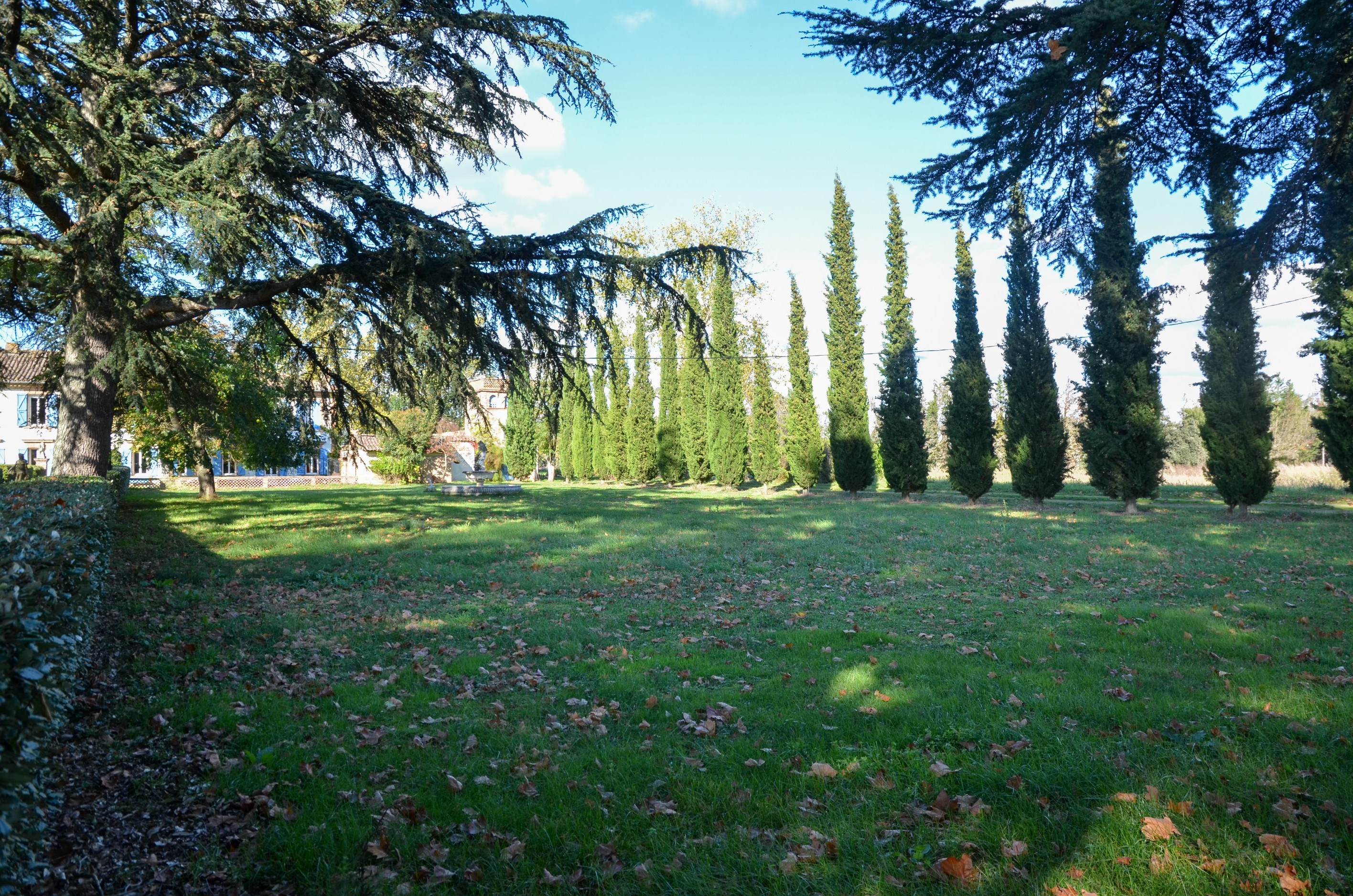  Property dedicated to reception - 物件實景