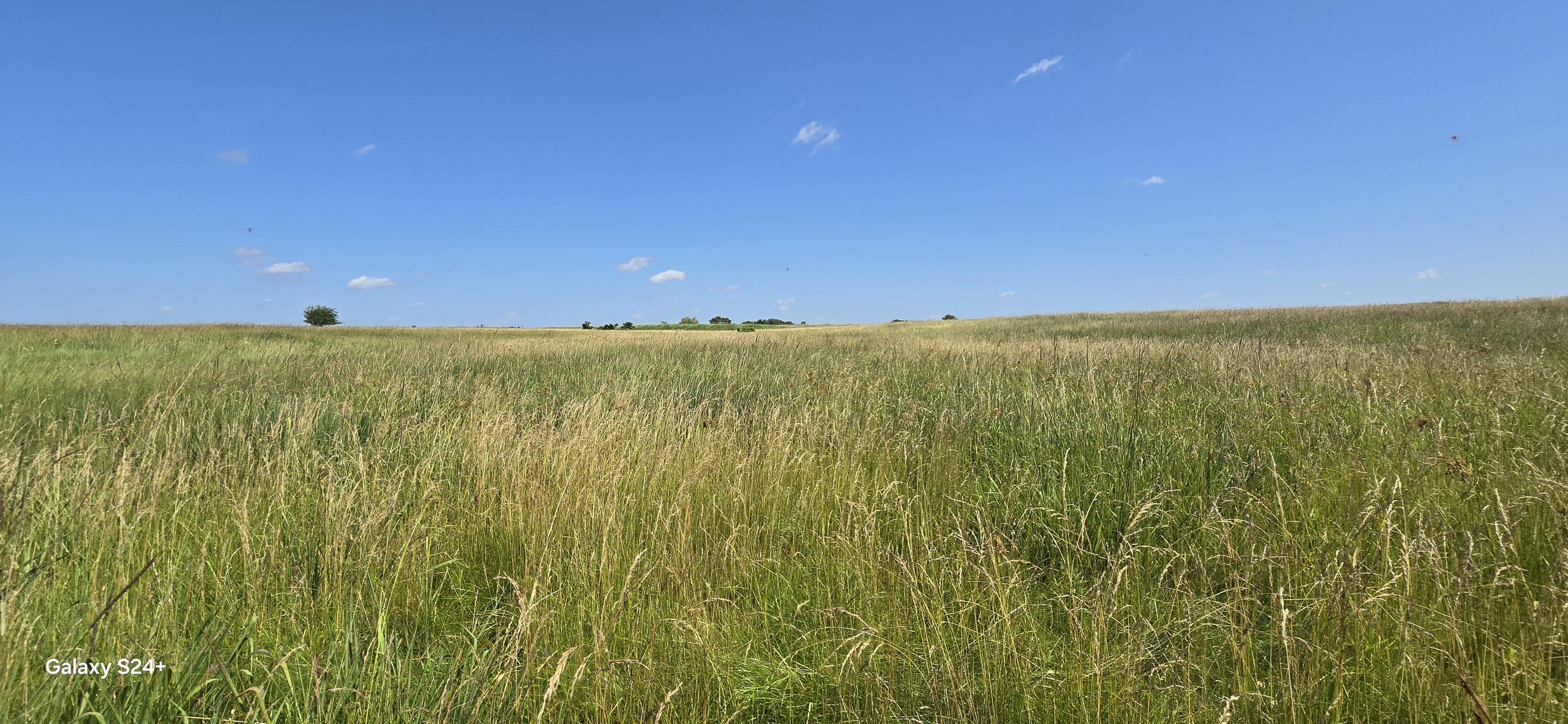 Osawatomie, Kansas, 66064, United States, 3 Bedrooms Bedrooms, ,2 BathroomsBathrooms,Residential,For Sale,1920353