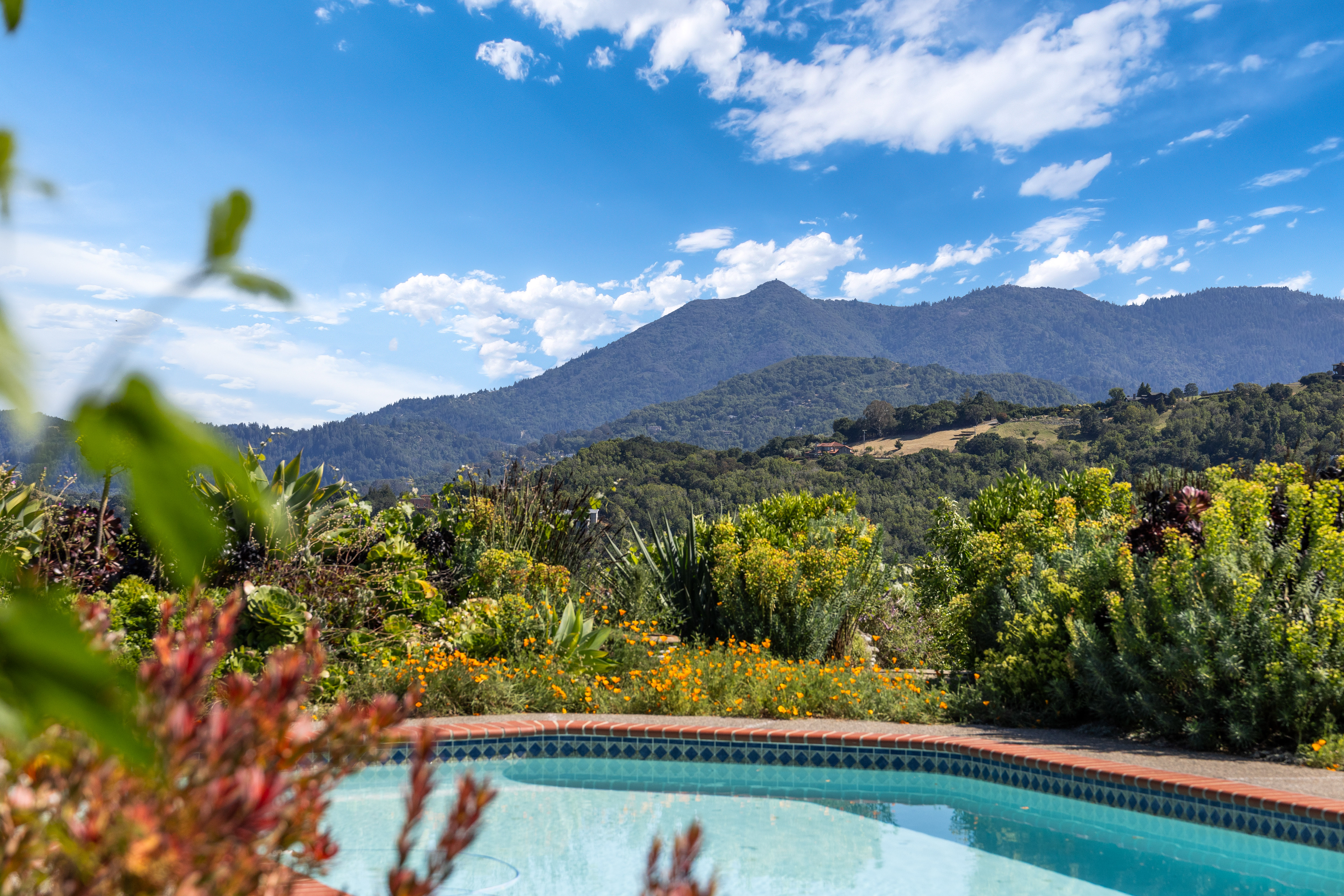  Secluded San Anselmo Estate With 270 Degree Panoramic Views On Almost Four Acres - 物件實景