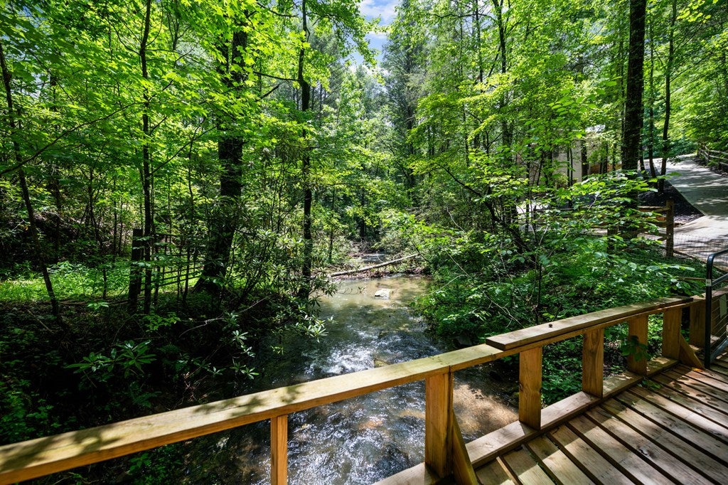 Ellijay, Georgia, 30540, United States, 5 Bedrooms Bedrooms, ,5 BathroomsBathrooms,Residential,For Sale,1868155