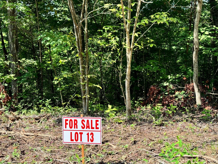 Somerset, Kentucky, 42501, United States, ,Residential,For Sale,1923151