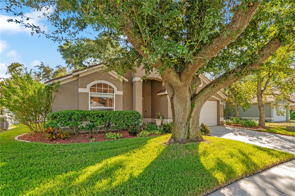 Woodfield Oaks Dr, Apopka, FL 32703 #1