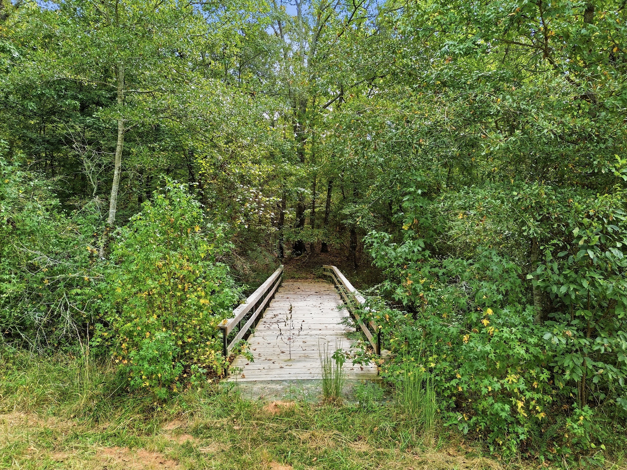  Exquisite 77.5 +/- Acre Private Retreat With Modern Rustic Elegance - 物件實景