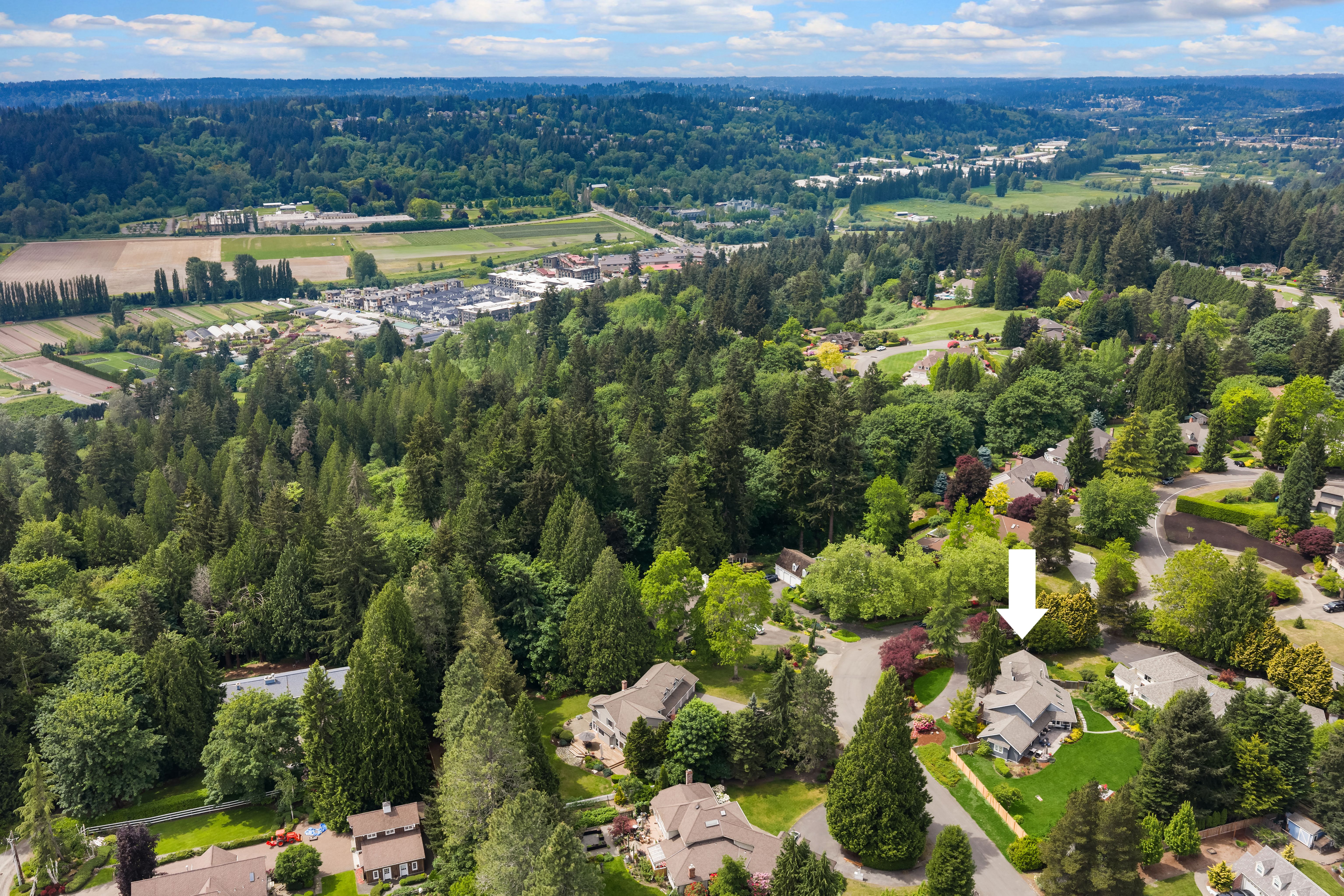  14246 157th Place NE, Woodinville, WA 98072 - 物件實景