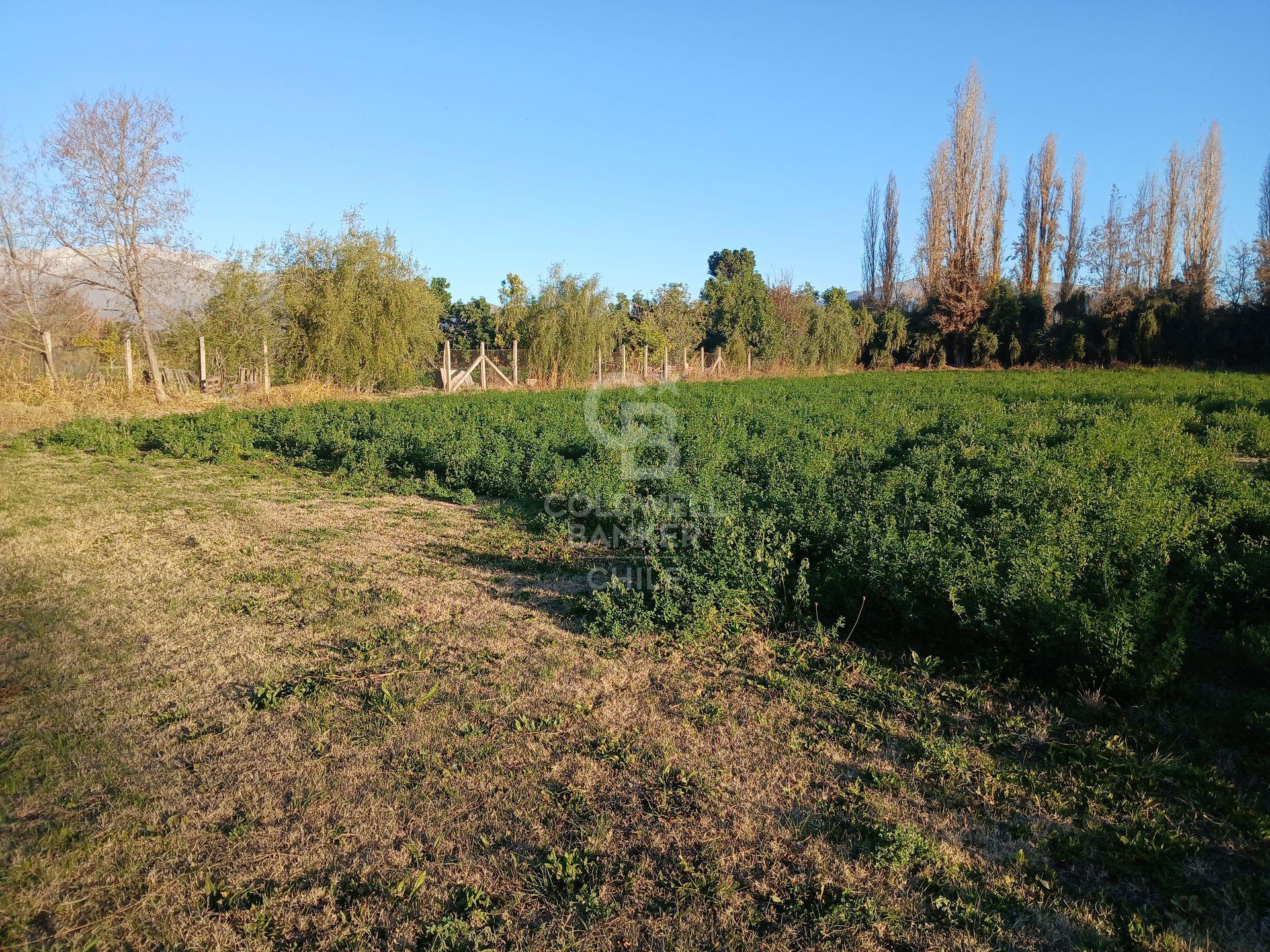 San Esteban, Chile, ,Land,For Sale,1926022