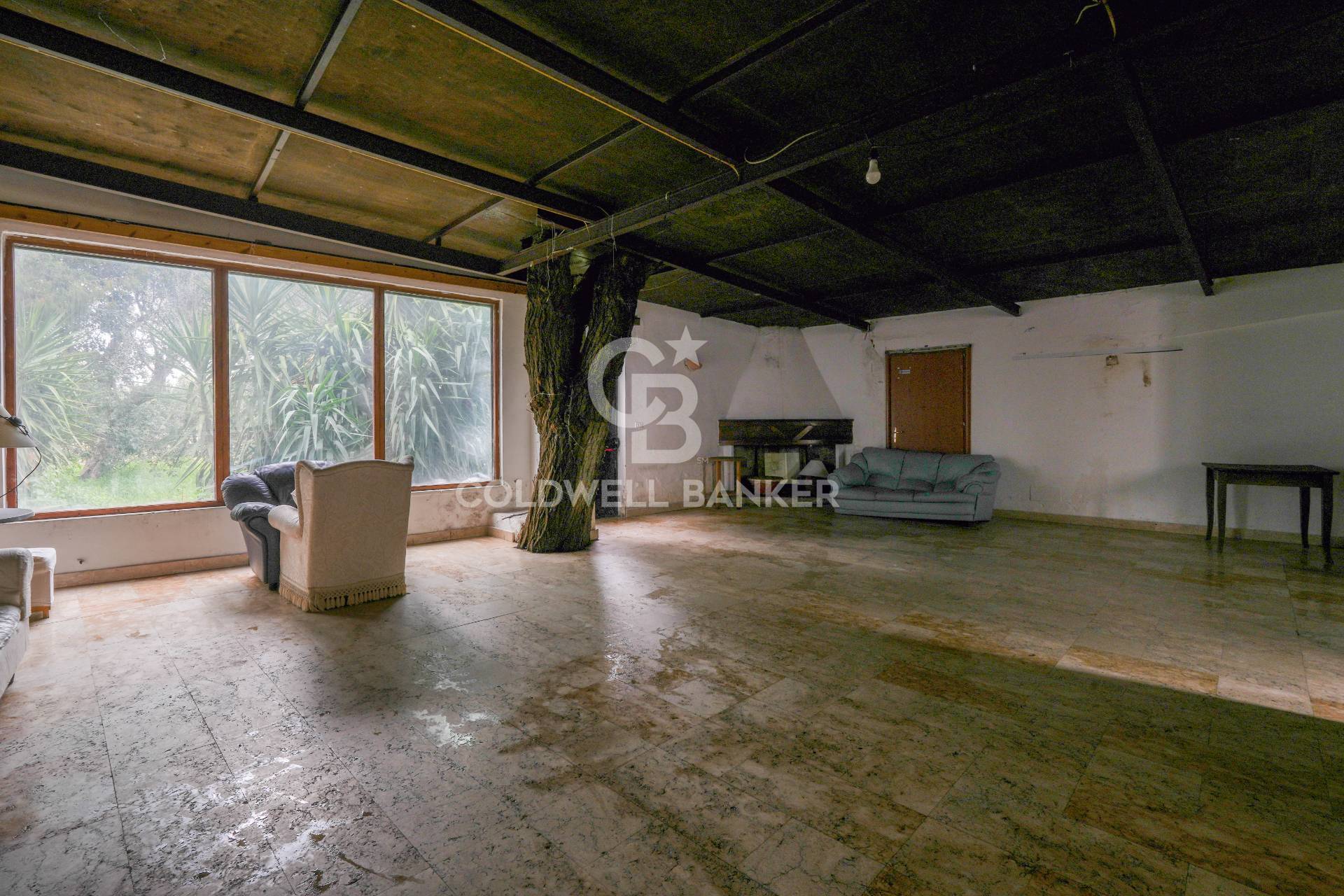 Bitonto, Bari, 70032, IT, 4 Bedrooms Bedrooms, ,4 BathroomsBathrooms,Residential,For Sale,1686700