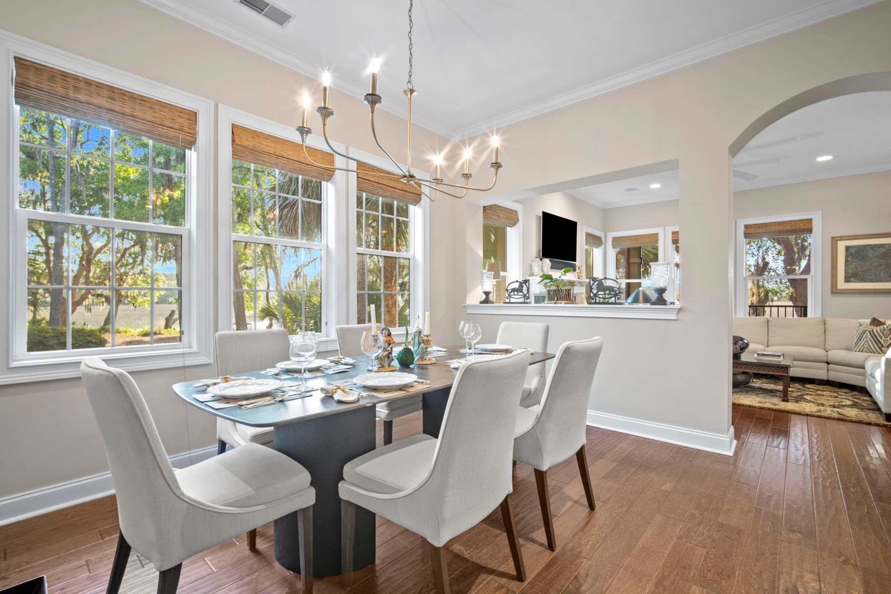  25 Seagrass Landing Court, Hilton Head Island - 物件實景