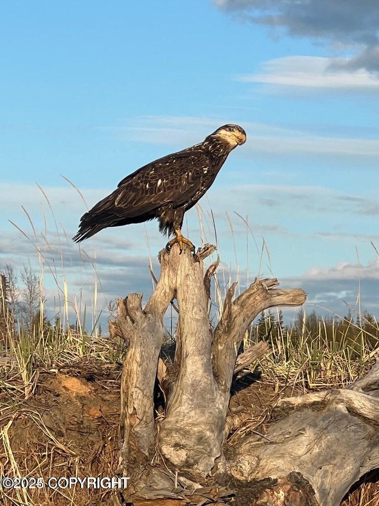 Kenai, Alaska, 99611, United States, 4 Bedrooms Bedrooms, ,5 BathroomsBathrooms,Residential,For Sale,1974536