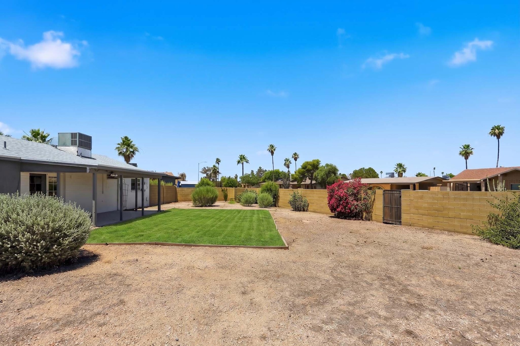  2310 E Betty Elyse Lane  Phoenix, AZ - 物件實景