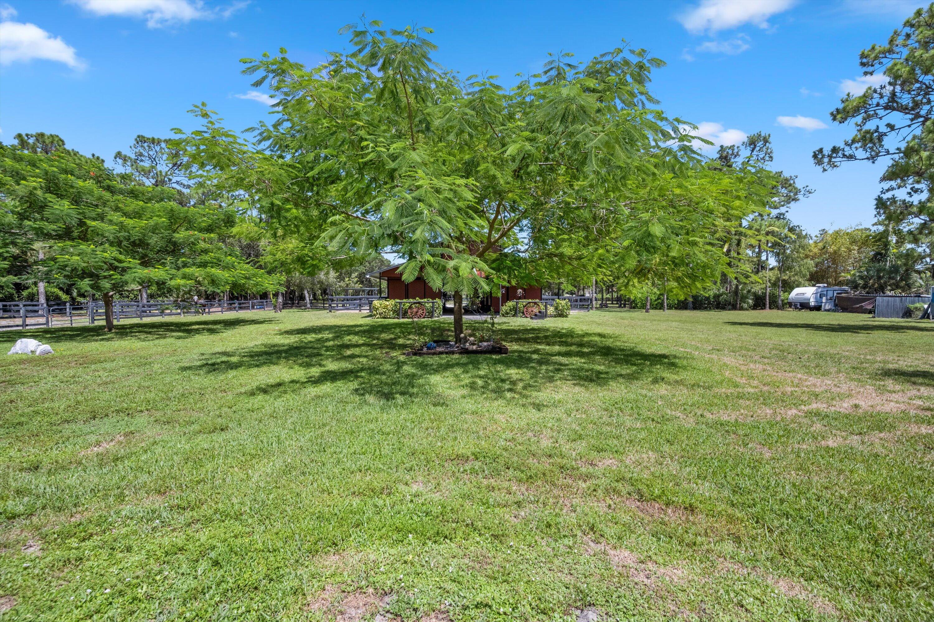  2558 Palm Deer Drive - 物件實景