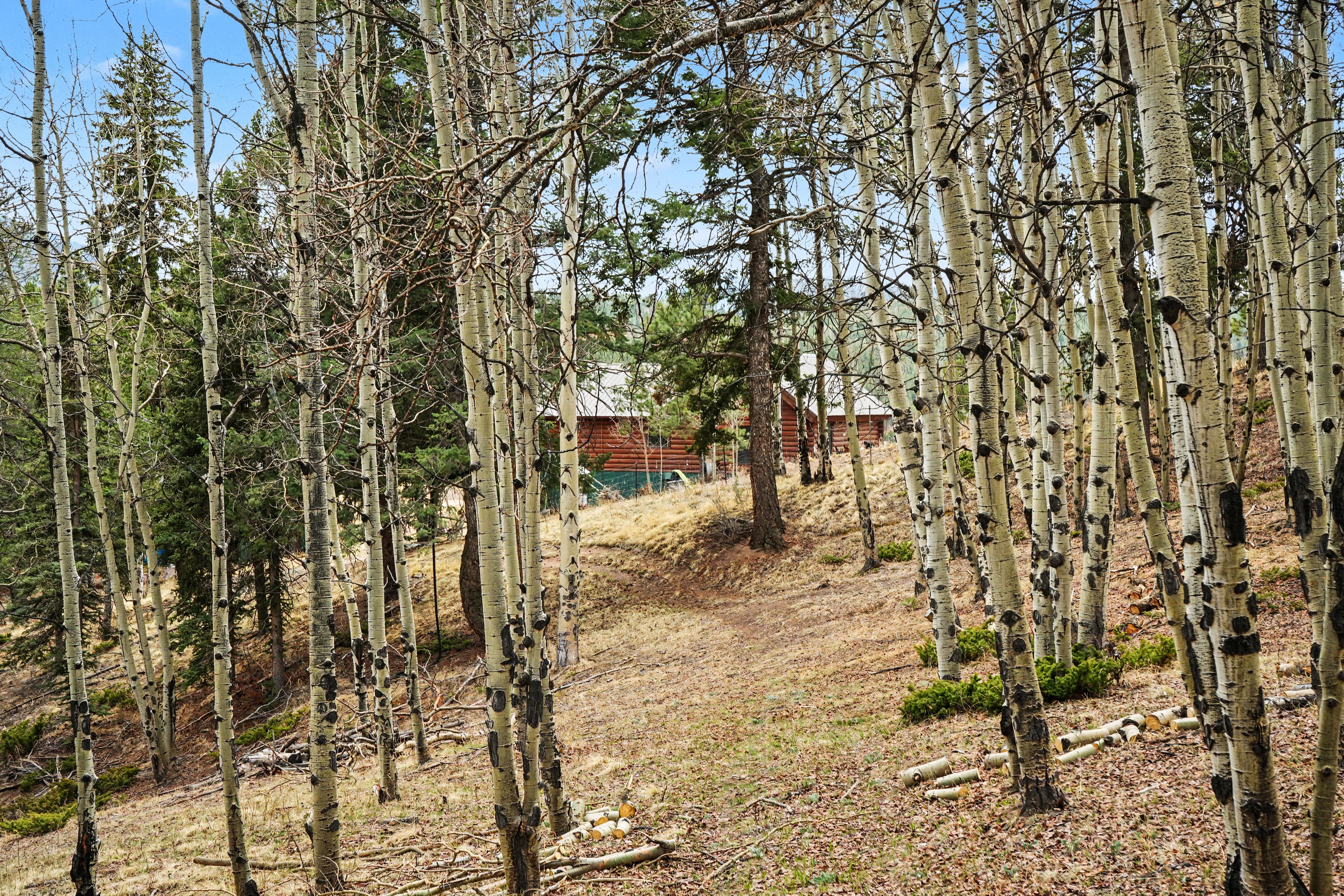  220 Rocky Mountain View, Divide, CO 80814 - 物件實景