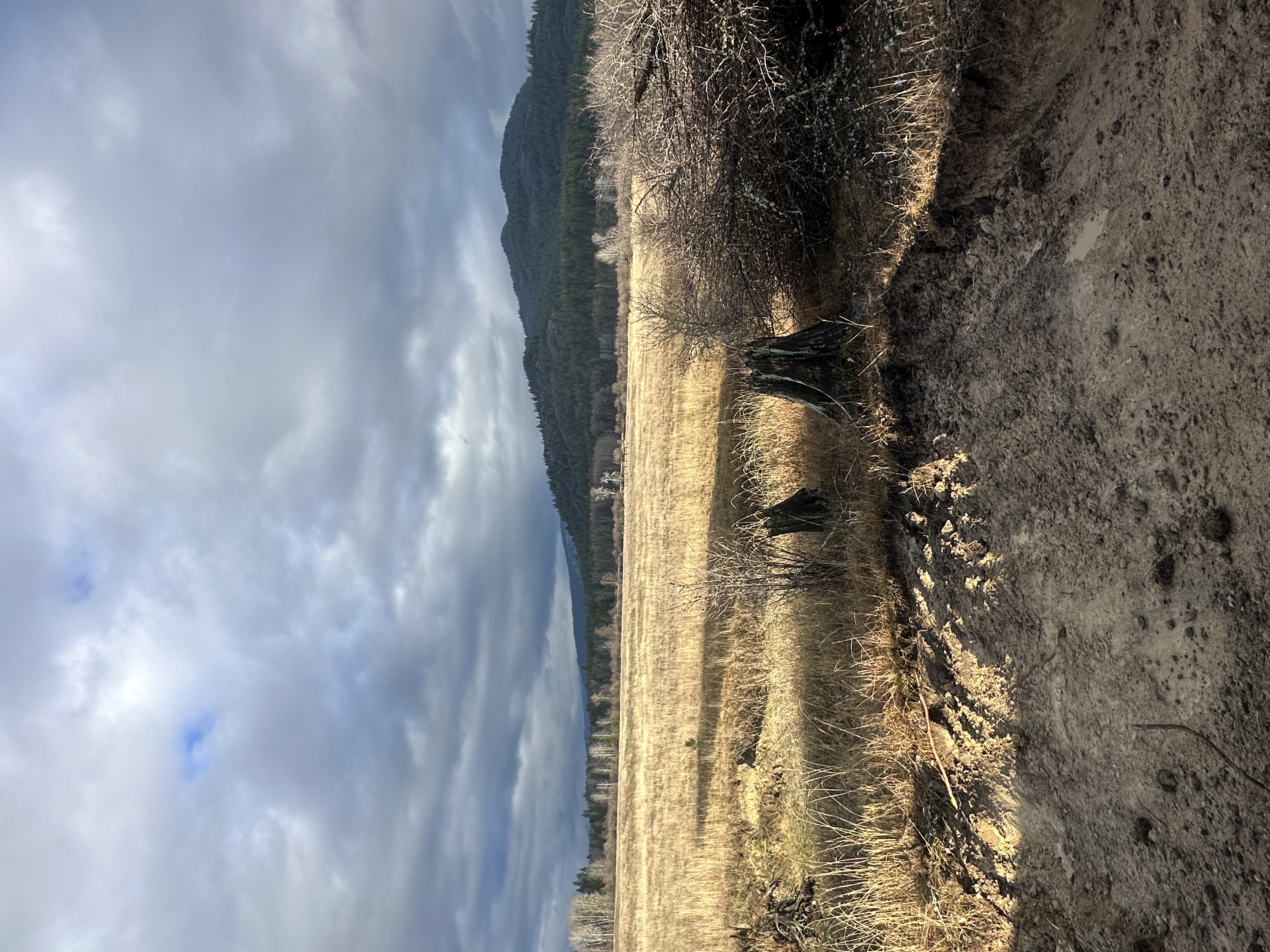 Priest River, Idaho, 83856, United States, ,Land,For Sale,2006127