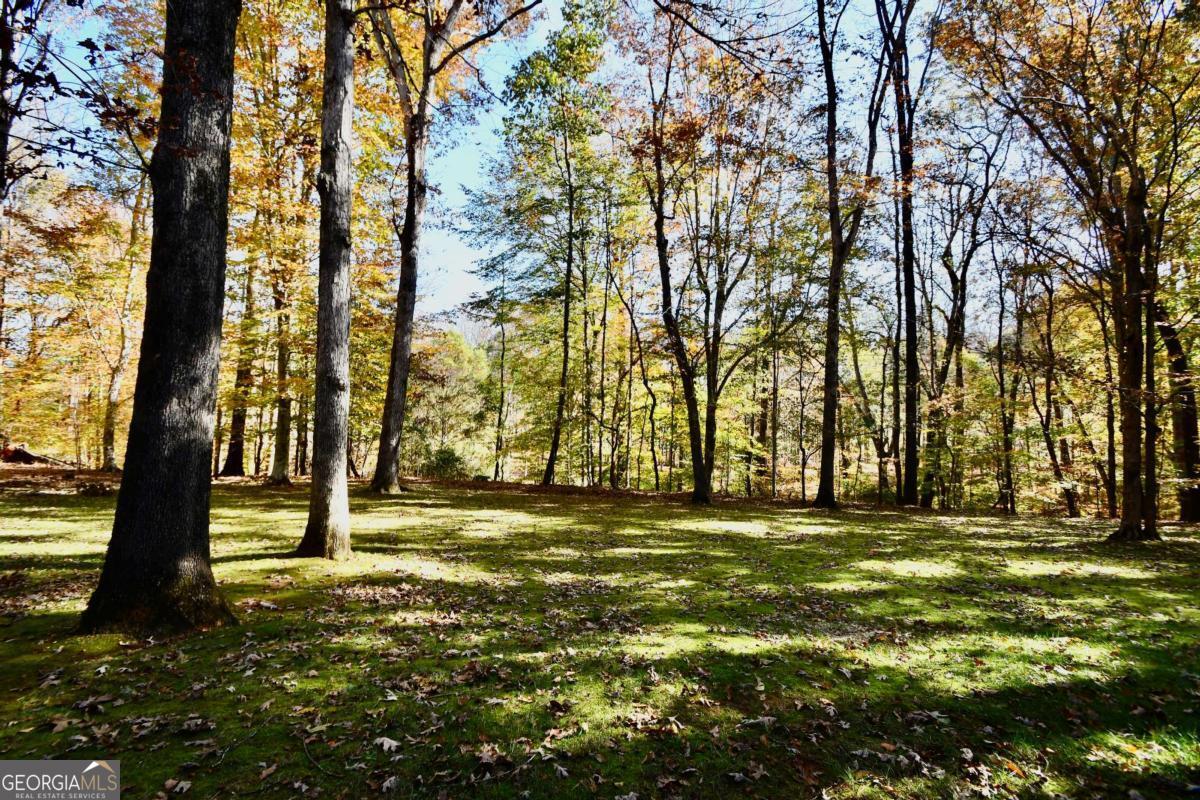 Athens, Georgia, 30607, United States, 5 Bedrooms Bedrooms, ,5 BathroomsBathrooms,Residential,For Sale,1993112