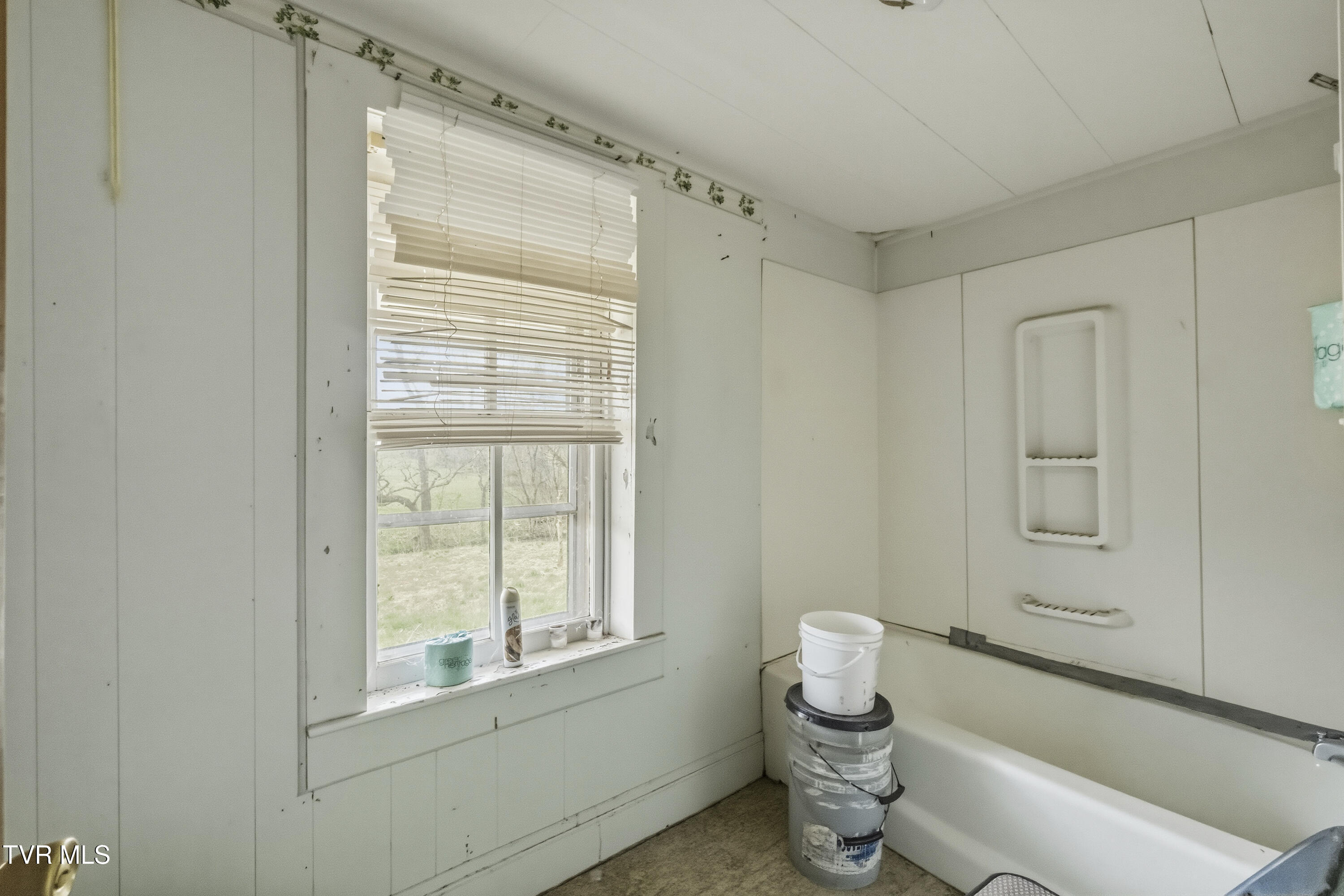 Chuckey, Tennessee, 37641, United States, ,Land,For Sale,2031699
