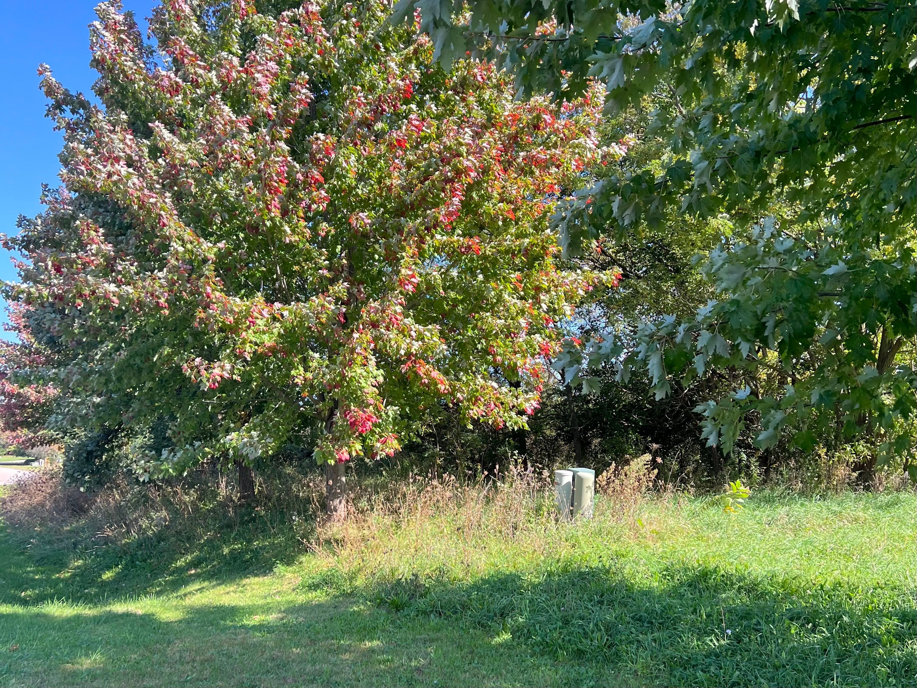  Discover the Perfect Setting to Build Your Dream Home on 5.27 Beautiful Acres - 物件實景