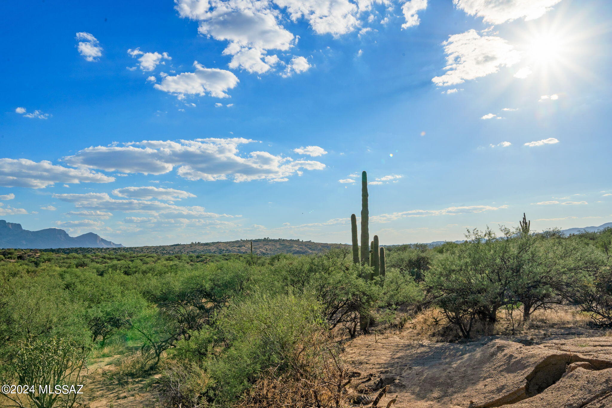 Tucson, Arizona, 85739, United States, ,Land,For Sale,1744993