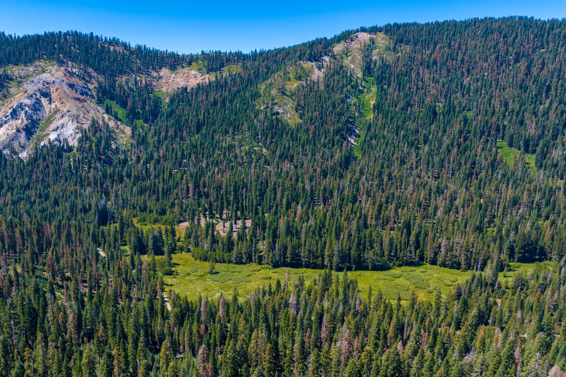  80 Acres of Pristine Land in the Middle of Plumas Eureka State Park - 物件實景