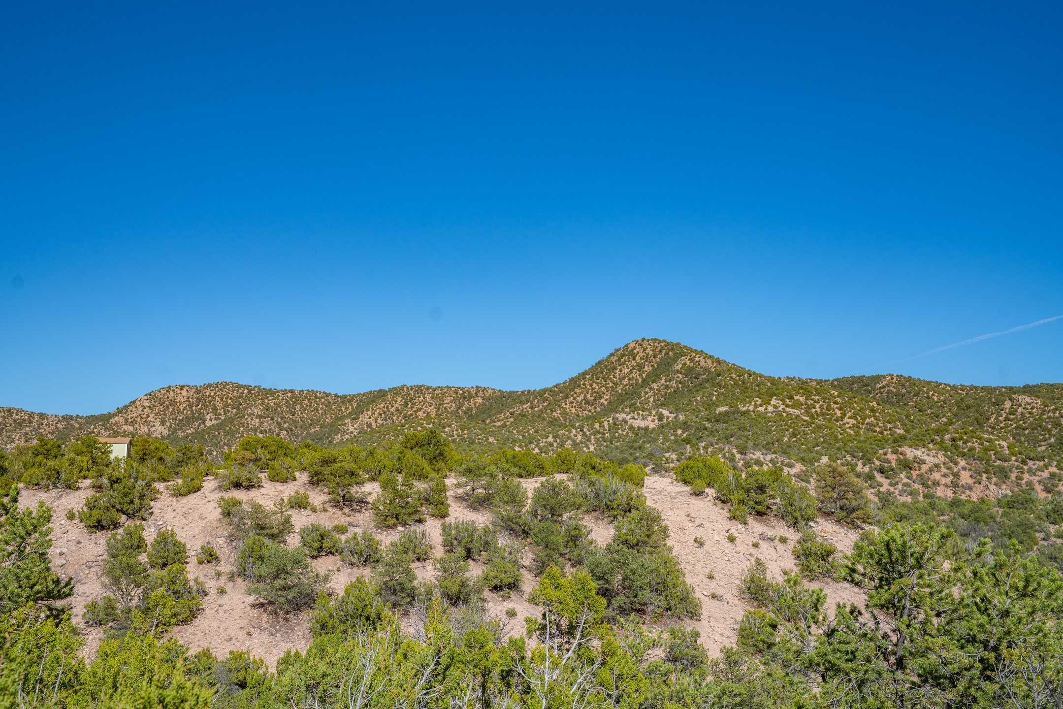  3.5 Acre Lot Camino Del Canon - 物件實景