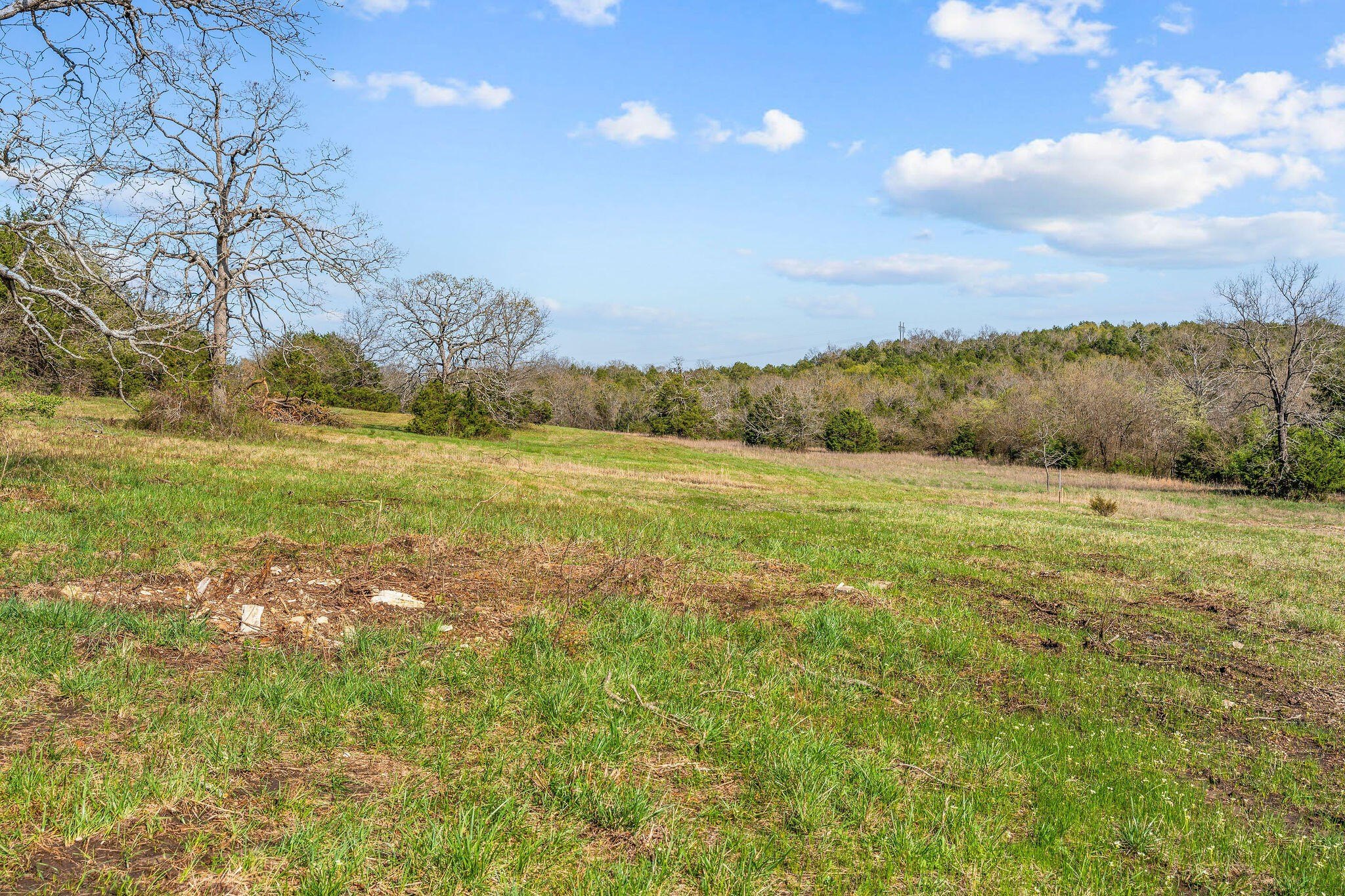 Kirbyville, Missouri, 65679, United States, ,Land,For Sale,1978892