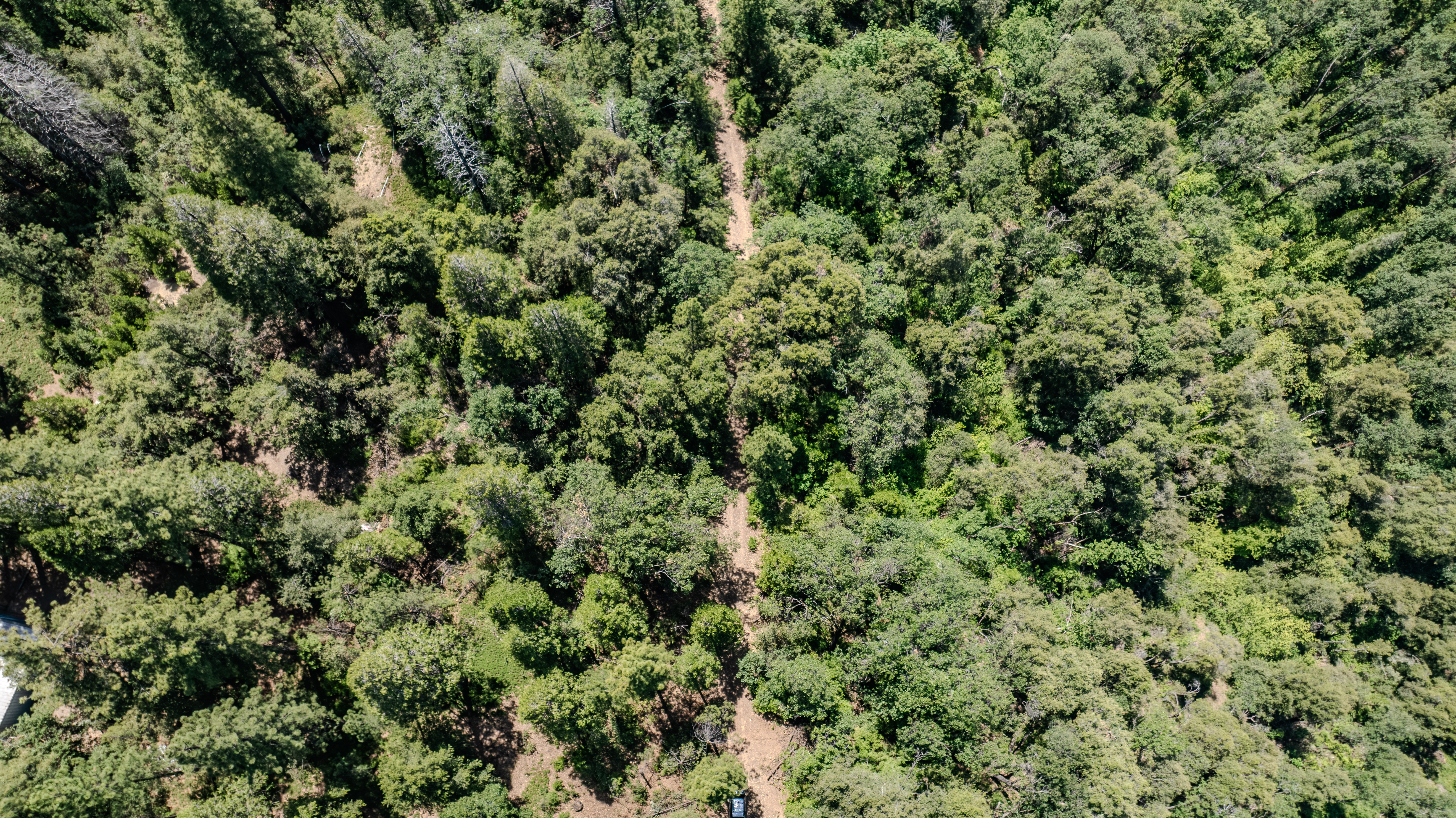  24100 Canterbury Road, Pioneer, CA 95666 - 物件實景
