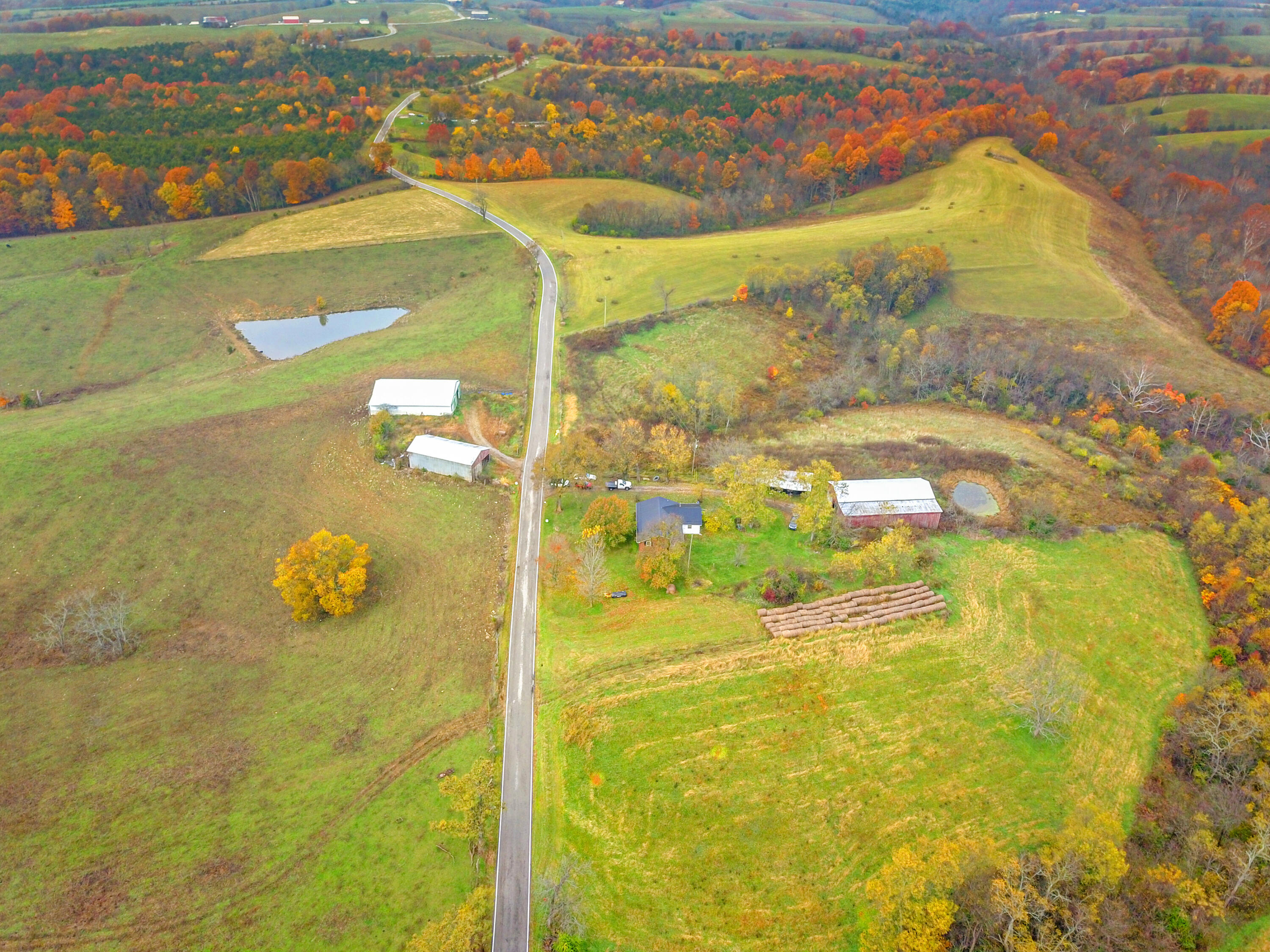 Williamstown, Kentucky, 41097, United States, ,Land,For Sale,1995668